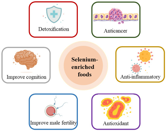 Selenium-Enriched Yeast Benefits