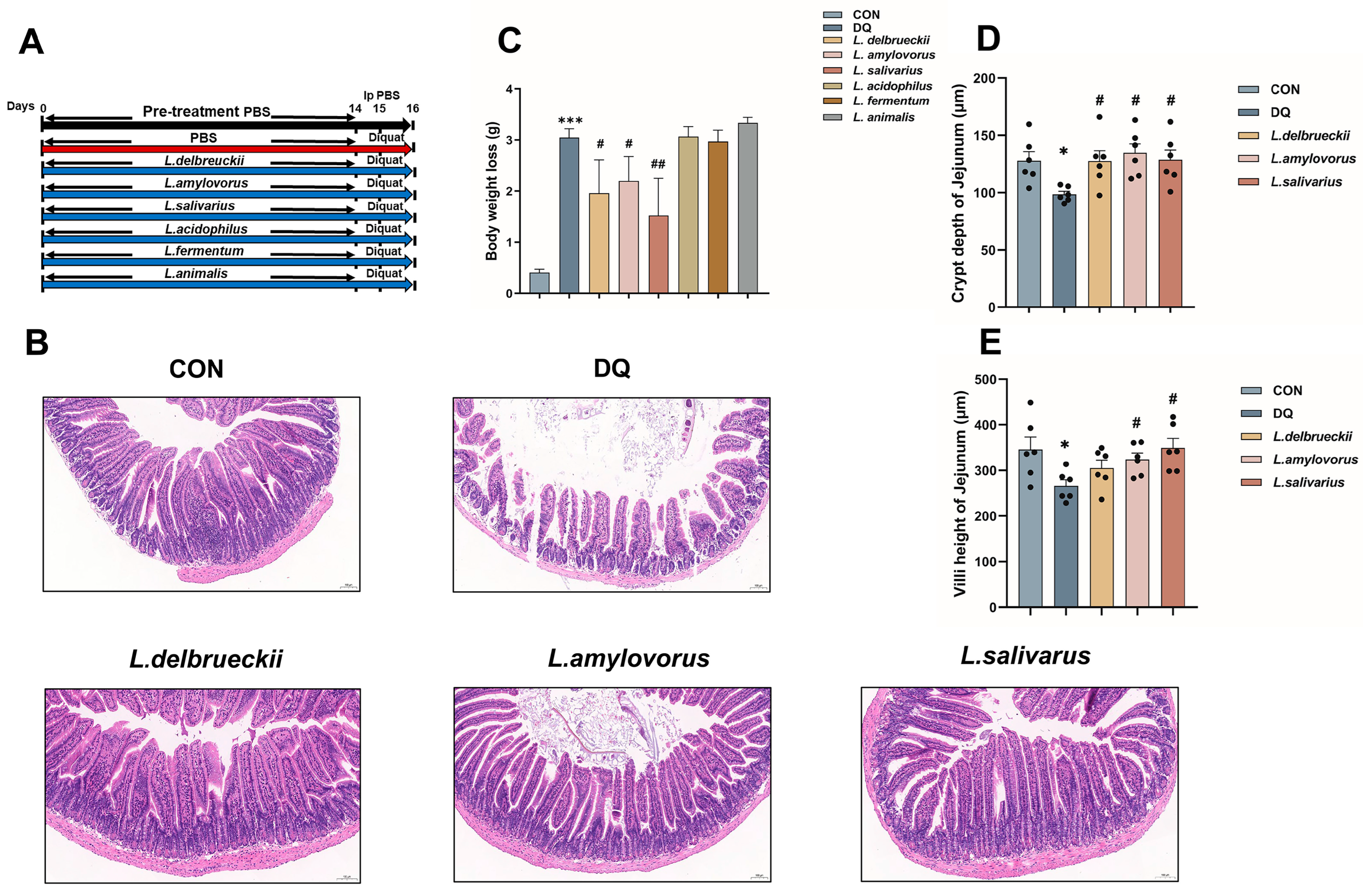 Nutrients 15 04198 g001