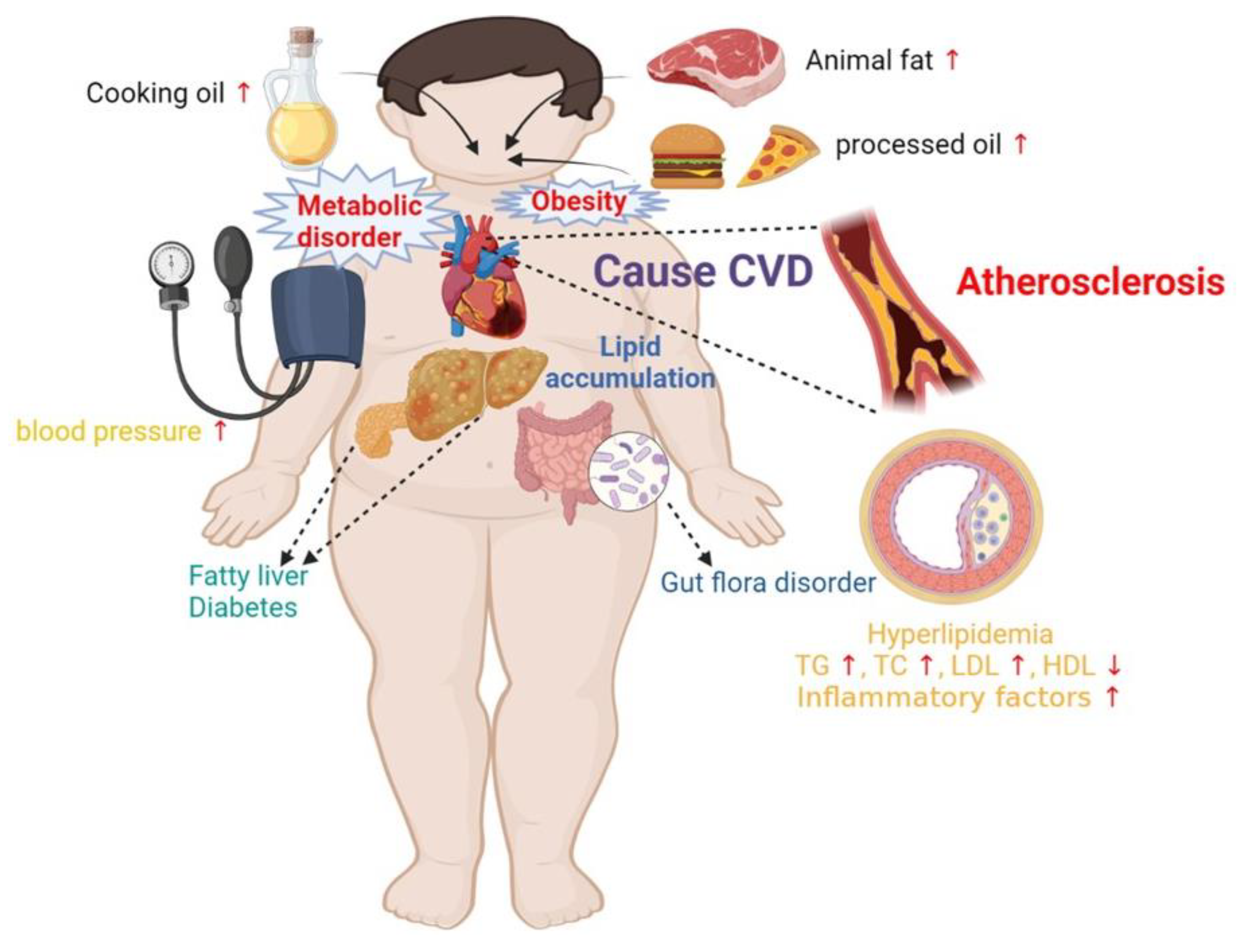 Nutrients 15 04214 g005 Nutrients 15 04214 g005