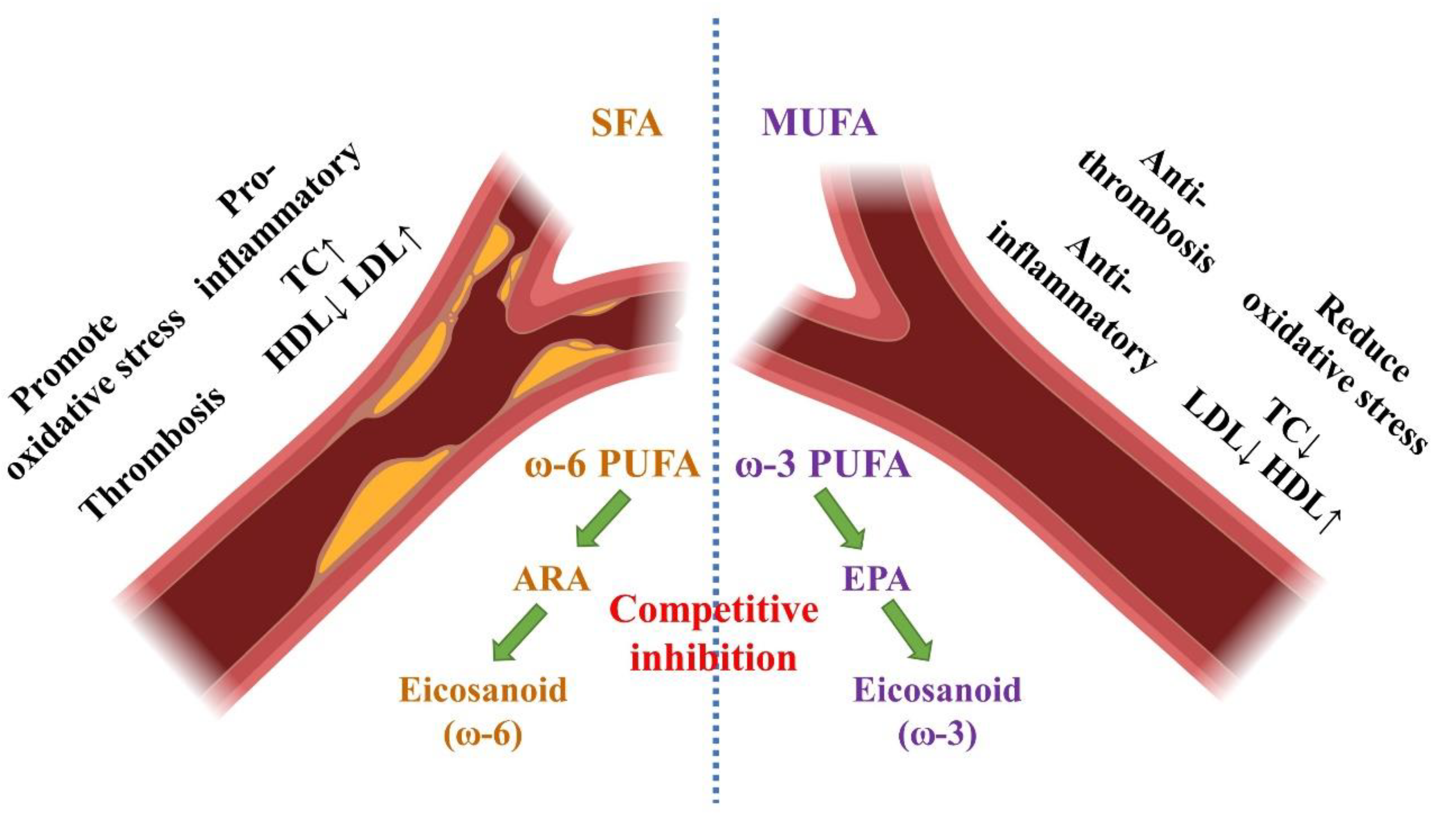Nutrients 15 04214 g007 Nutrients 15 04214 g007