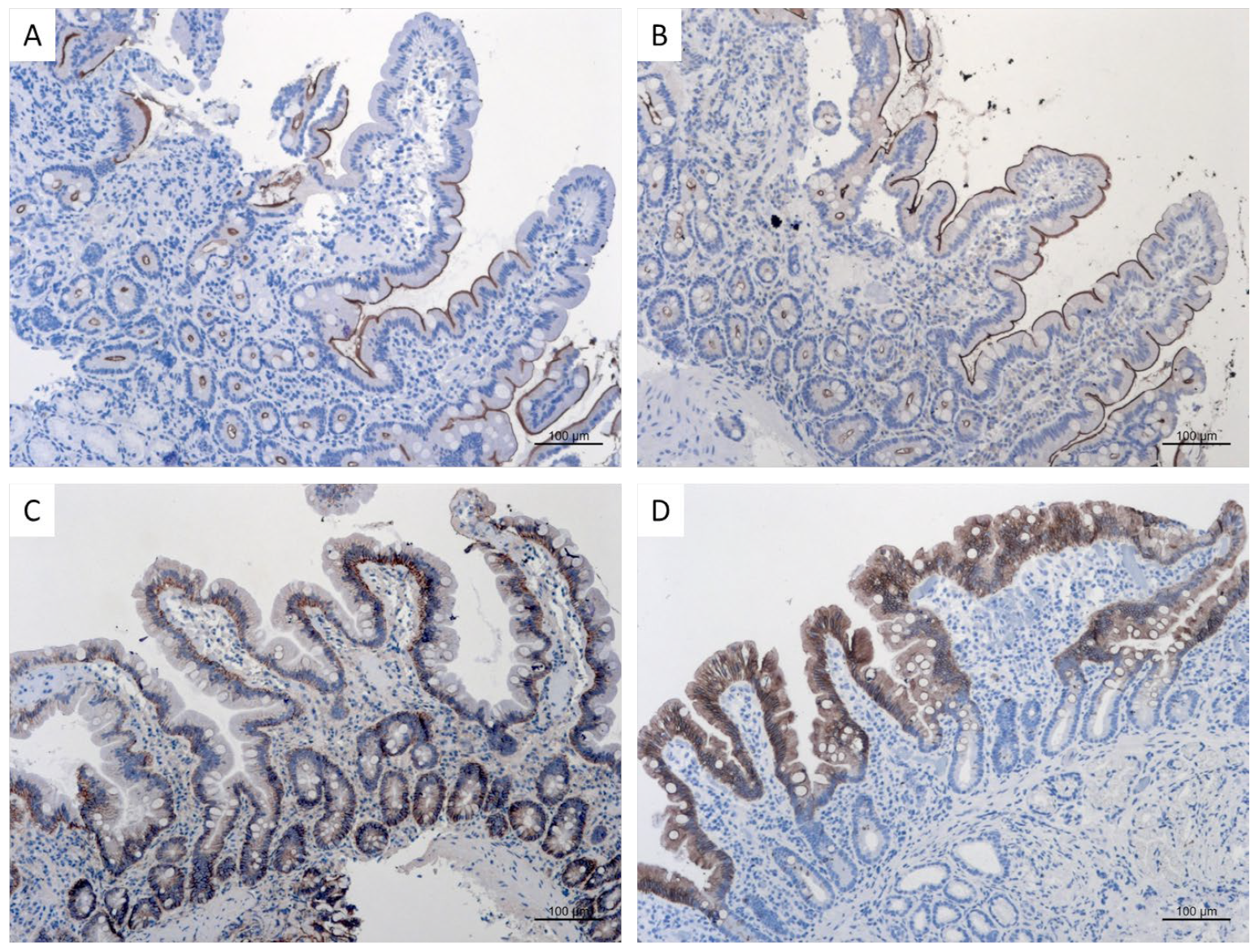 Nutrients 15 04220 g004 Nutrients 15 04220 g004