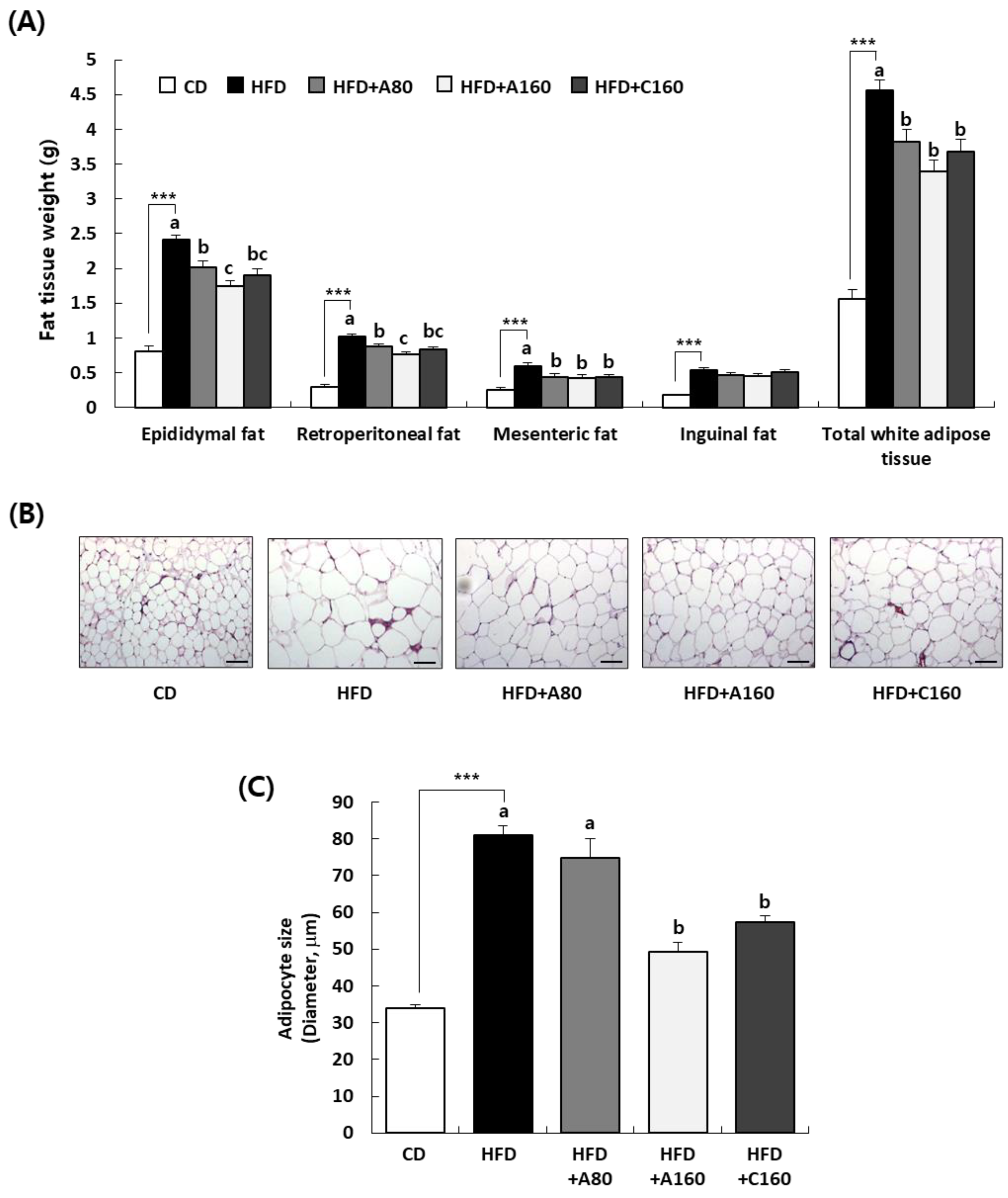 Nutrients 15 04225 g003