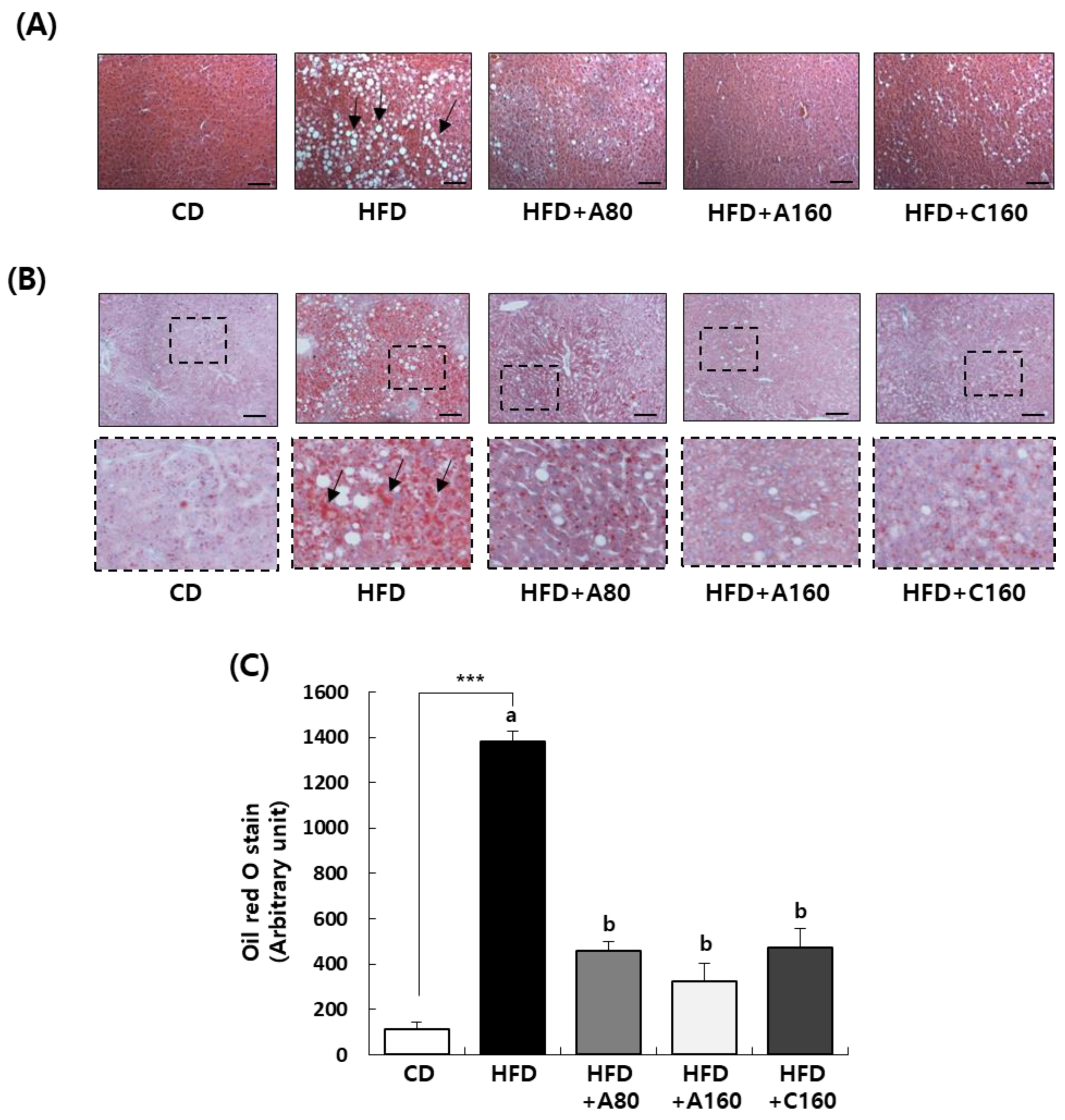 Nutrients 15 04225 g004