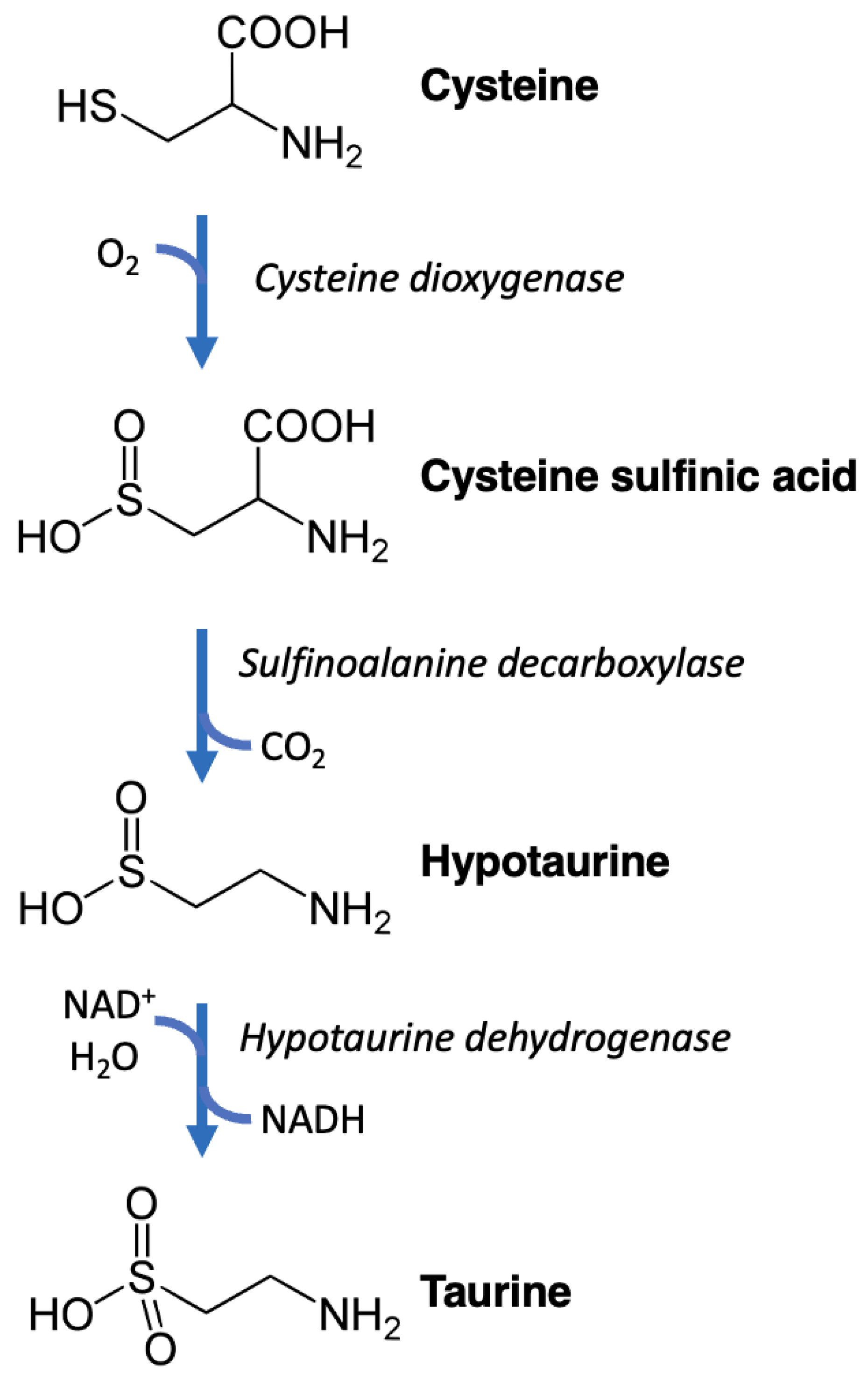 Nutrients 15 04236 g002