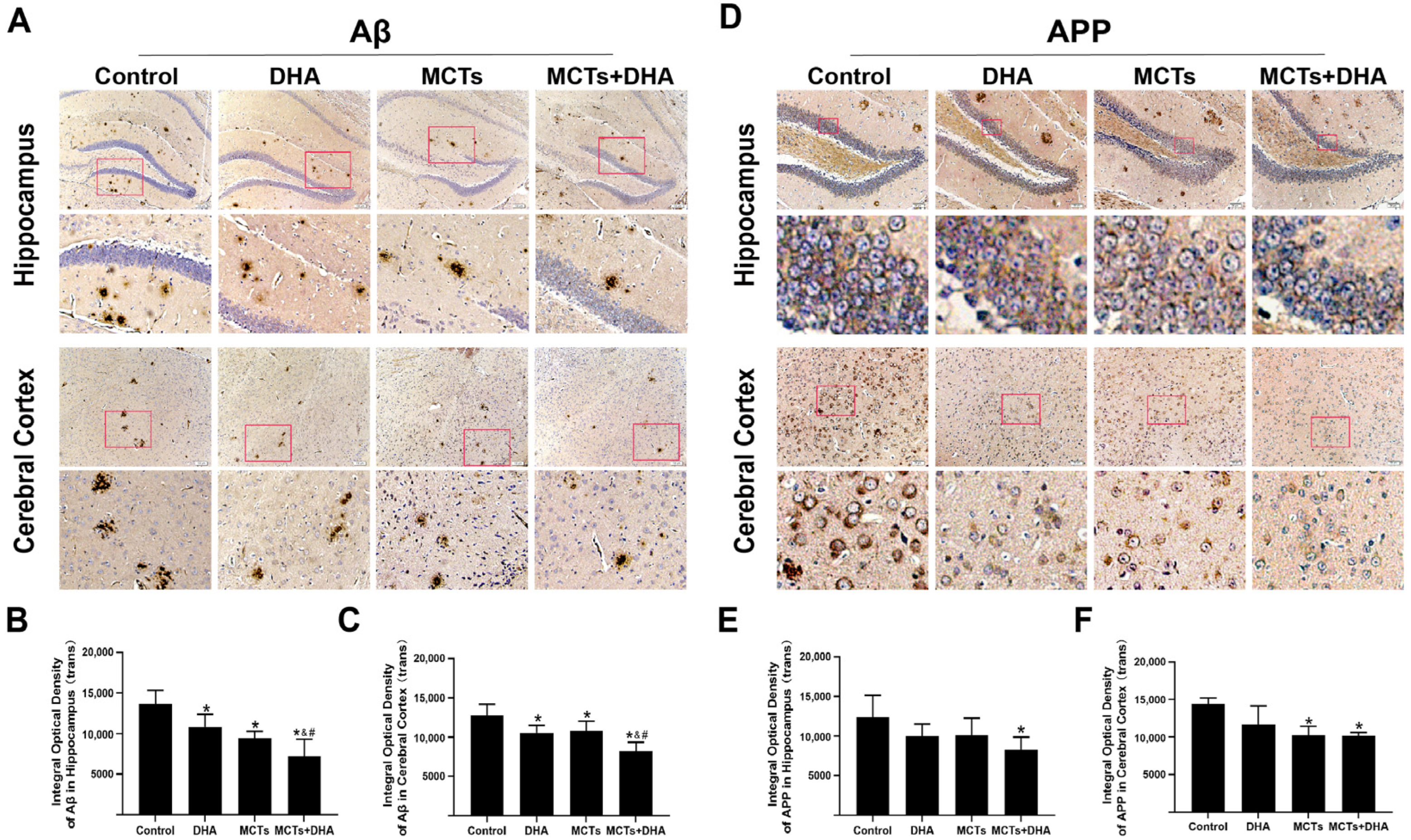 Nutrients 15 04244 g002