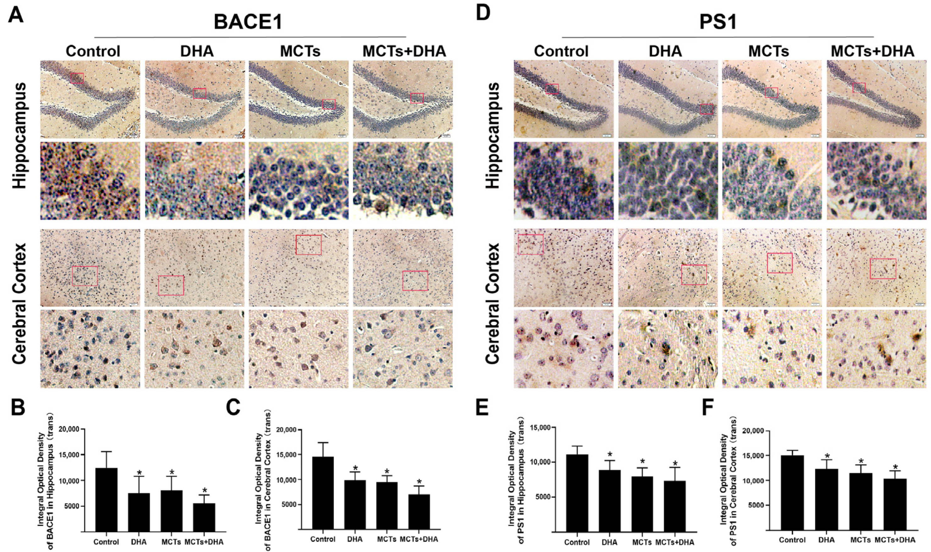 Nutrients 15 04244 g003