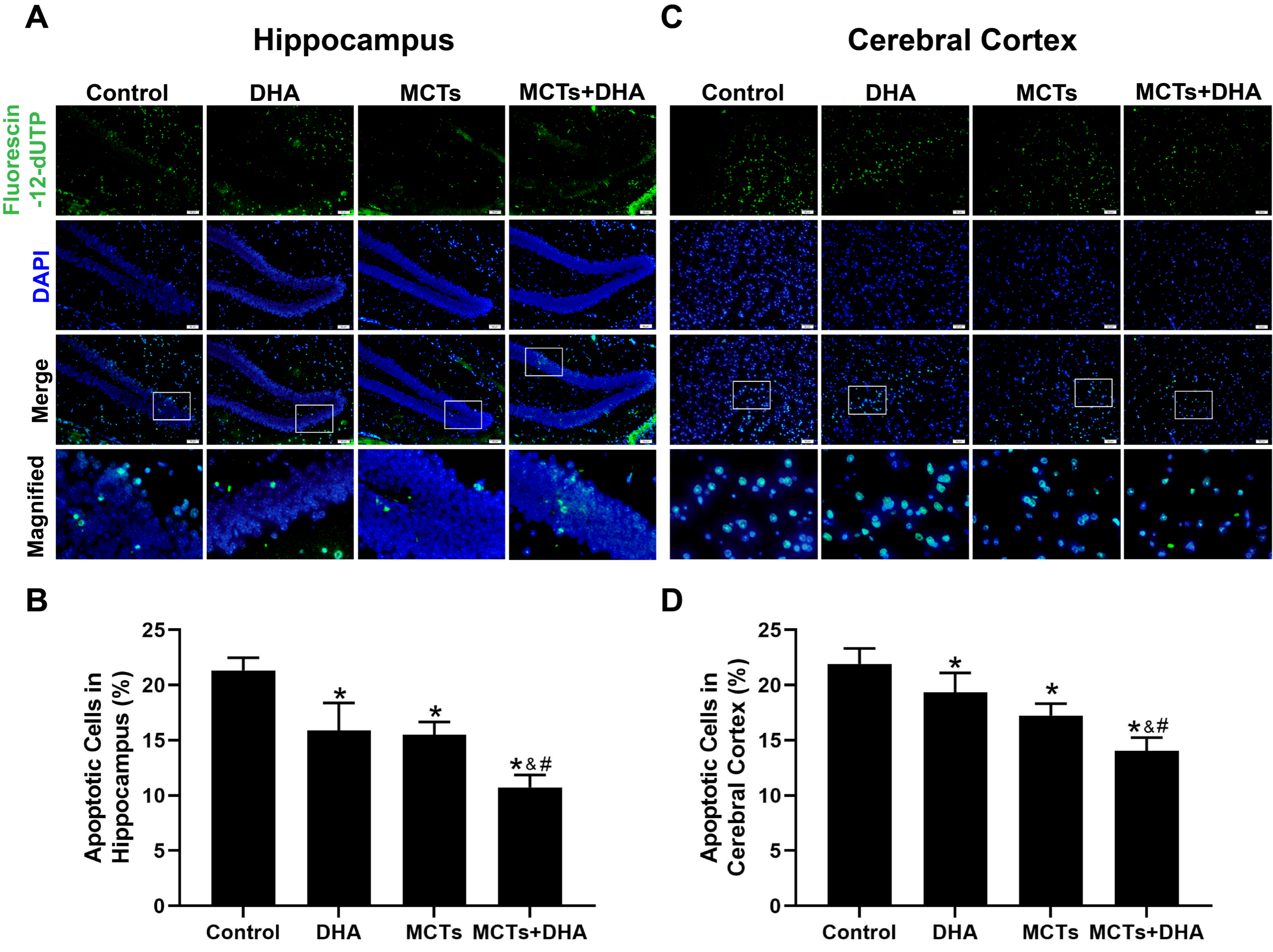 Nutrients 15 04244 g004