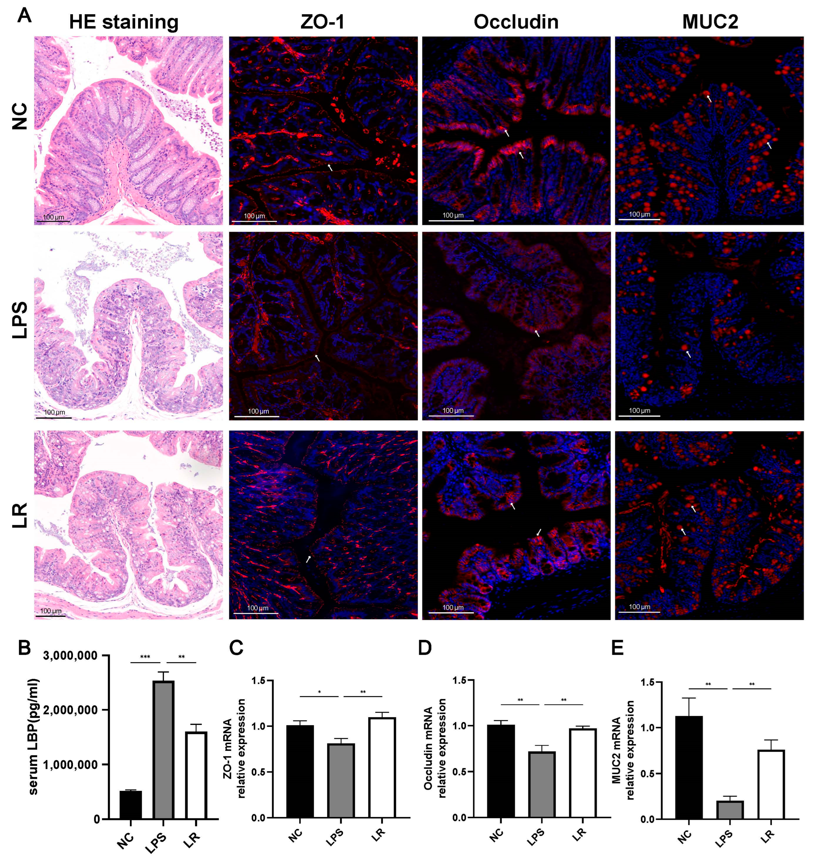 Nutrients 15 04256 g003