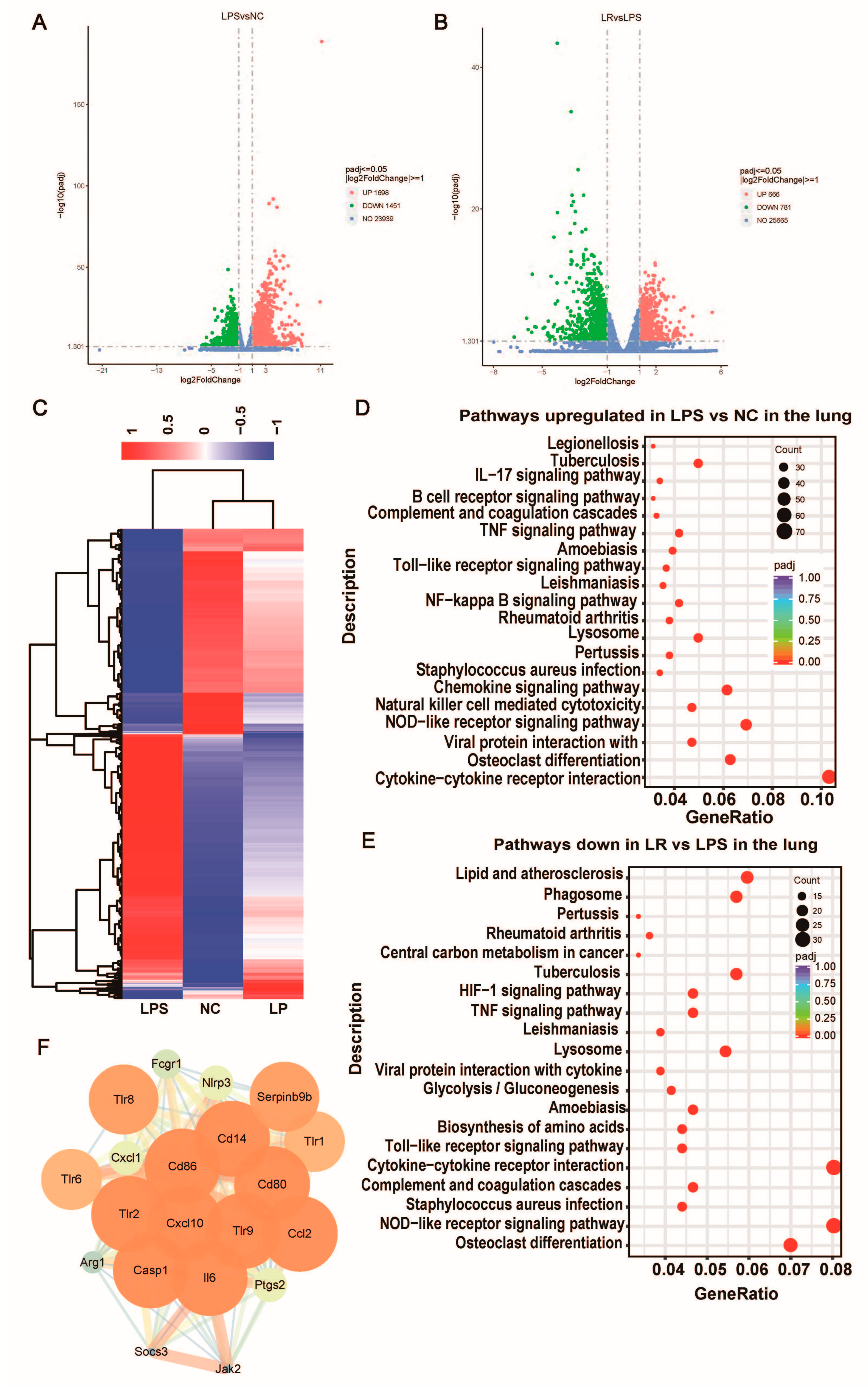 Nutrients 15 04256 g006
