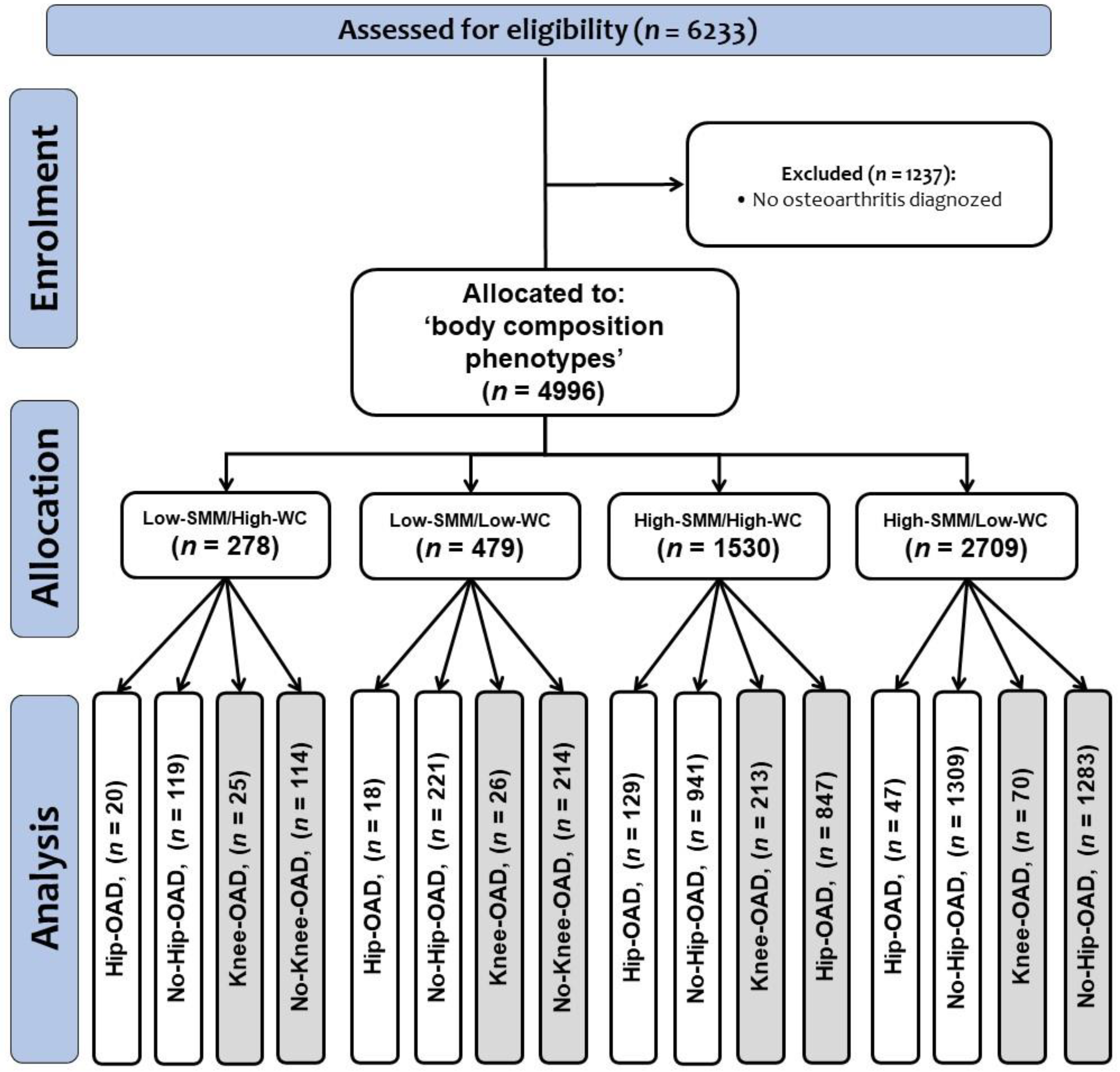 Nutrients 15 04263 g001