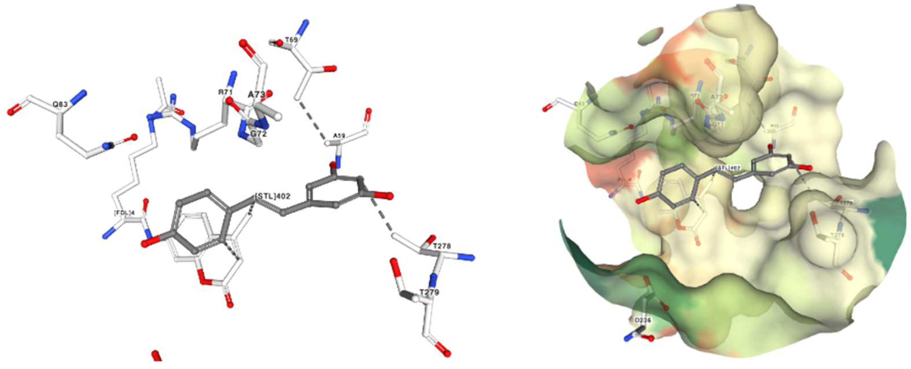 Nutrients 15 04274 g019