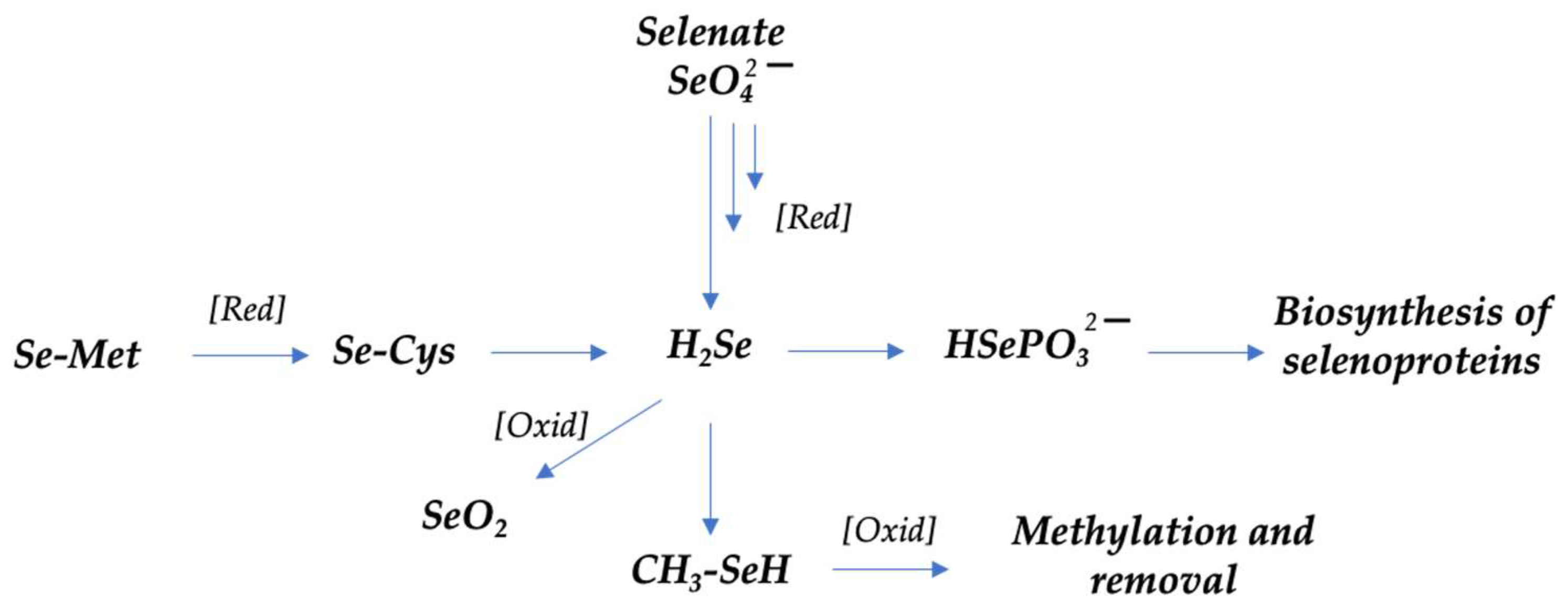 Nutrients 15 04274 sch001