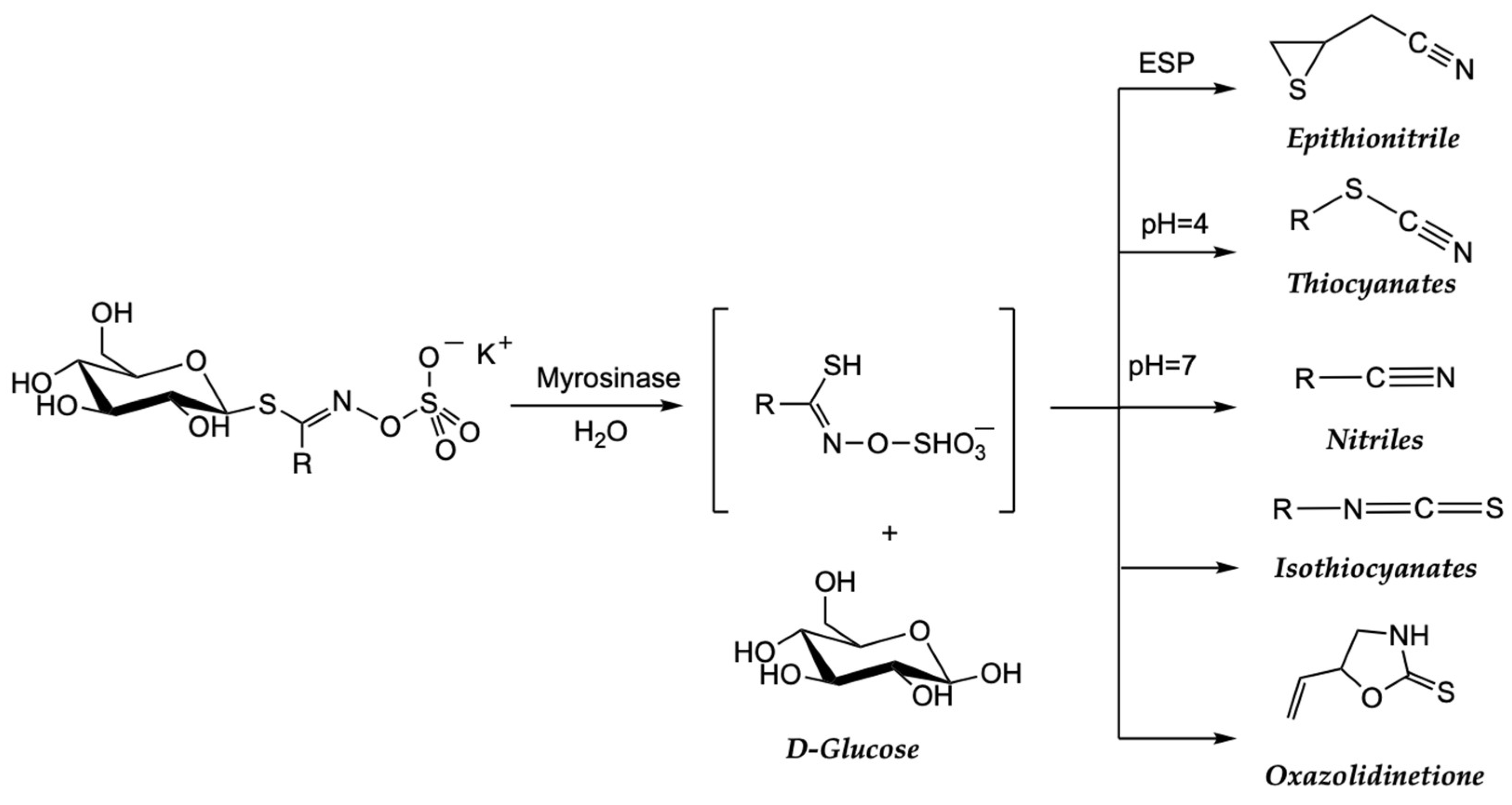 Nutrients 15 04274 sch002