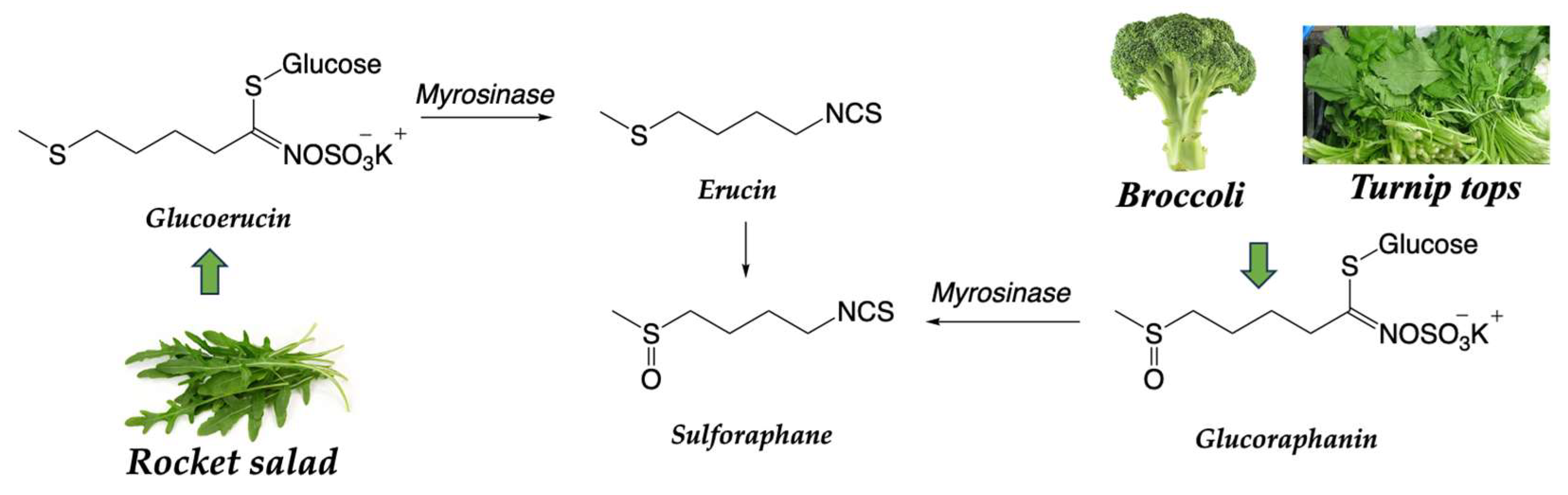 Nutrients 15 04274 sch003
