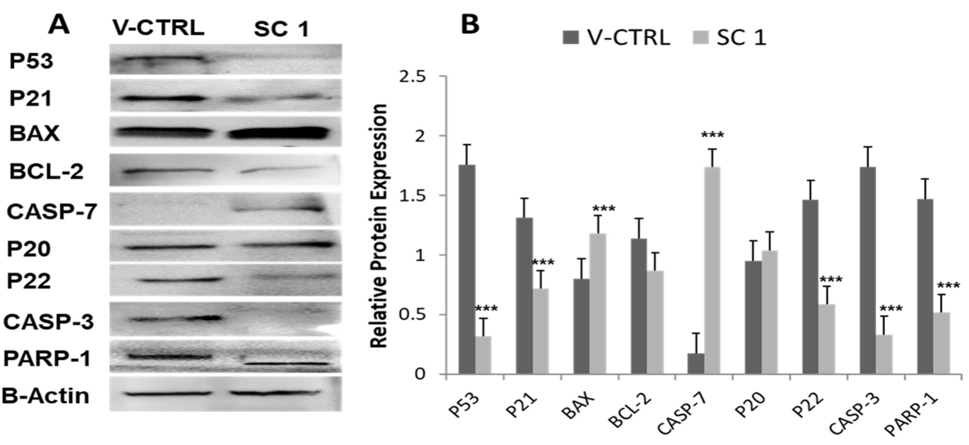 Nutrients 15 04276 g005