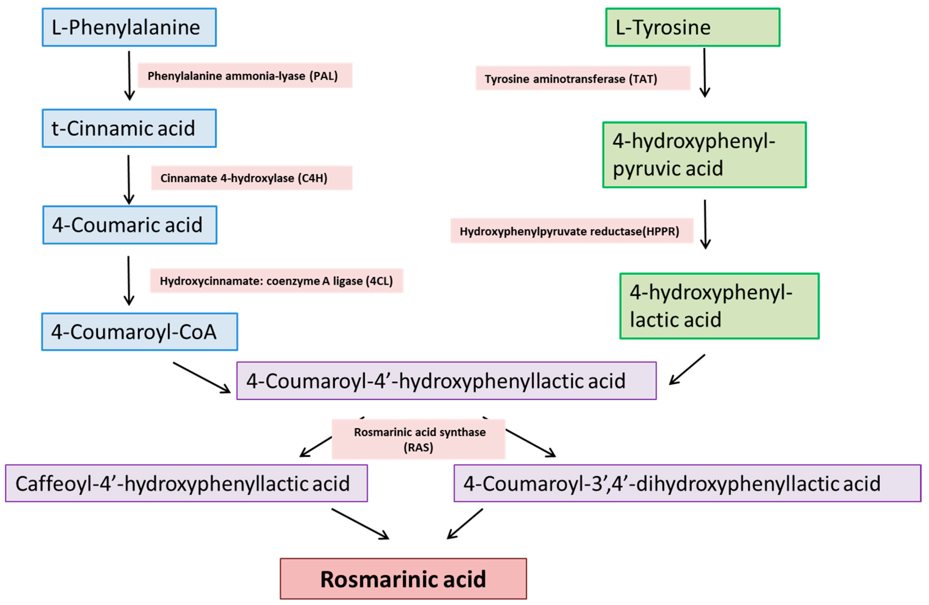 Nutrients 15 04297 g001