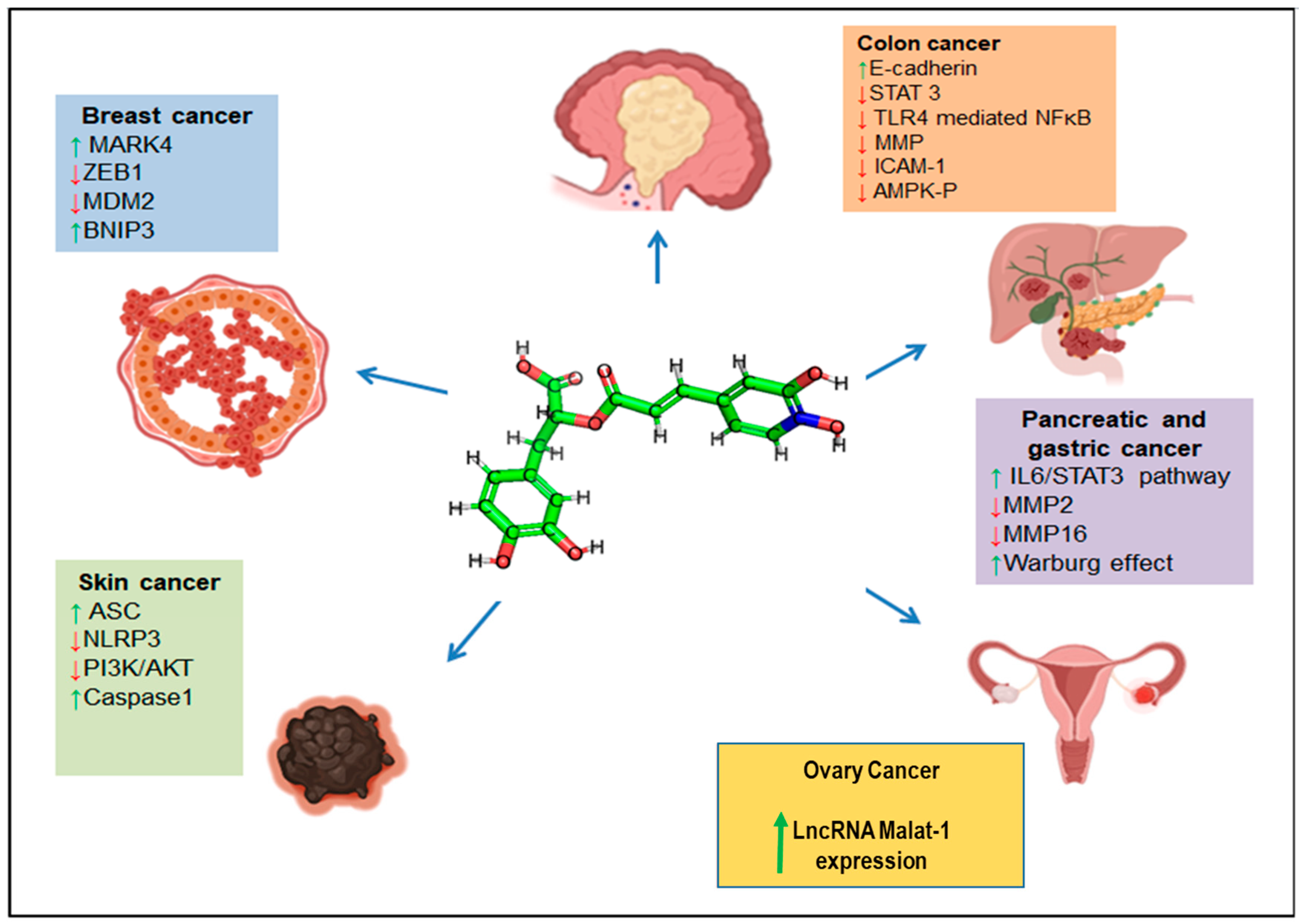 Nutrients 15 04297 g004