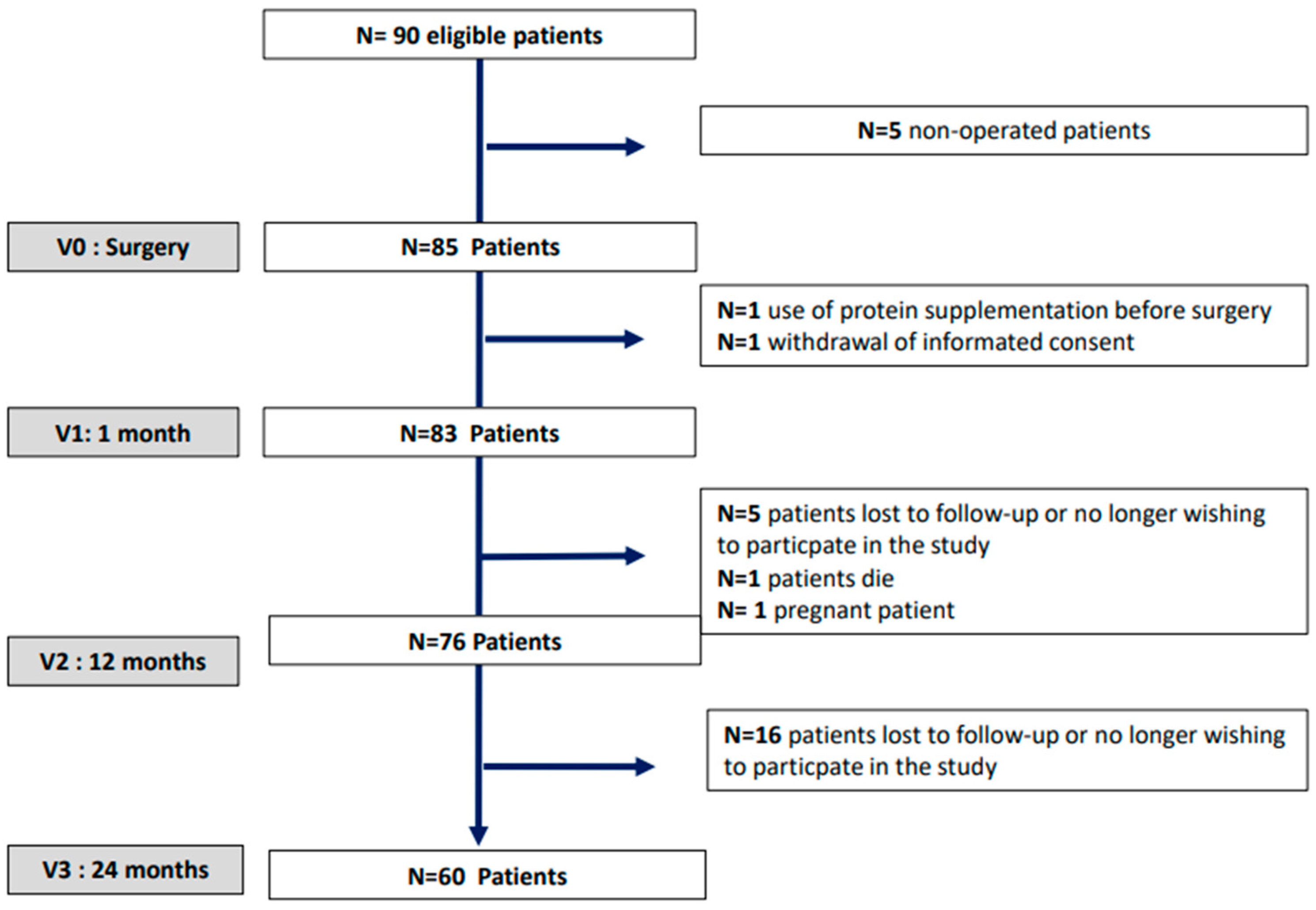Nutrients 15 04310 g001 Nutrients 15 04310 g001