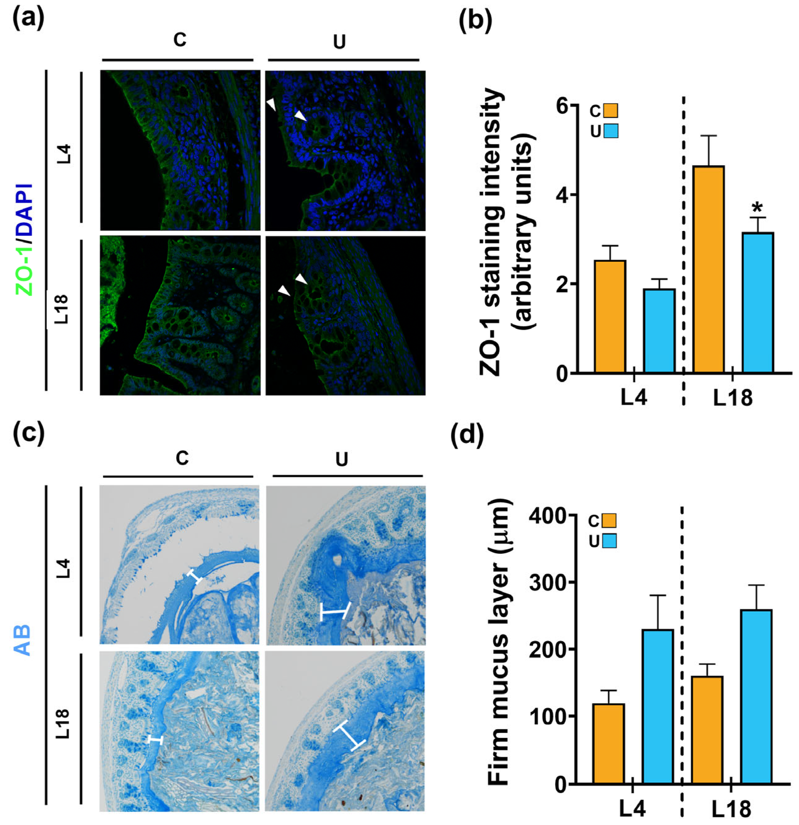 Nutrients 15 04322 g008 Nutrients 15 04322 g008