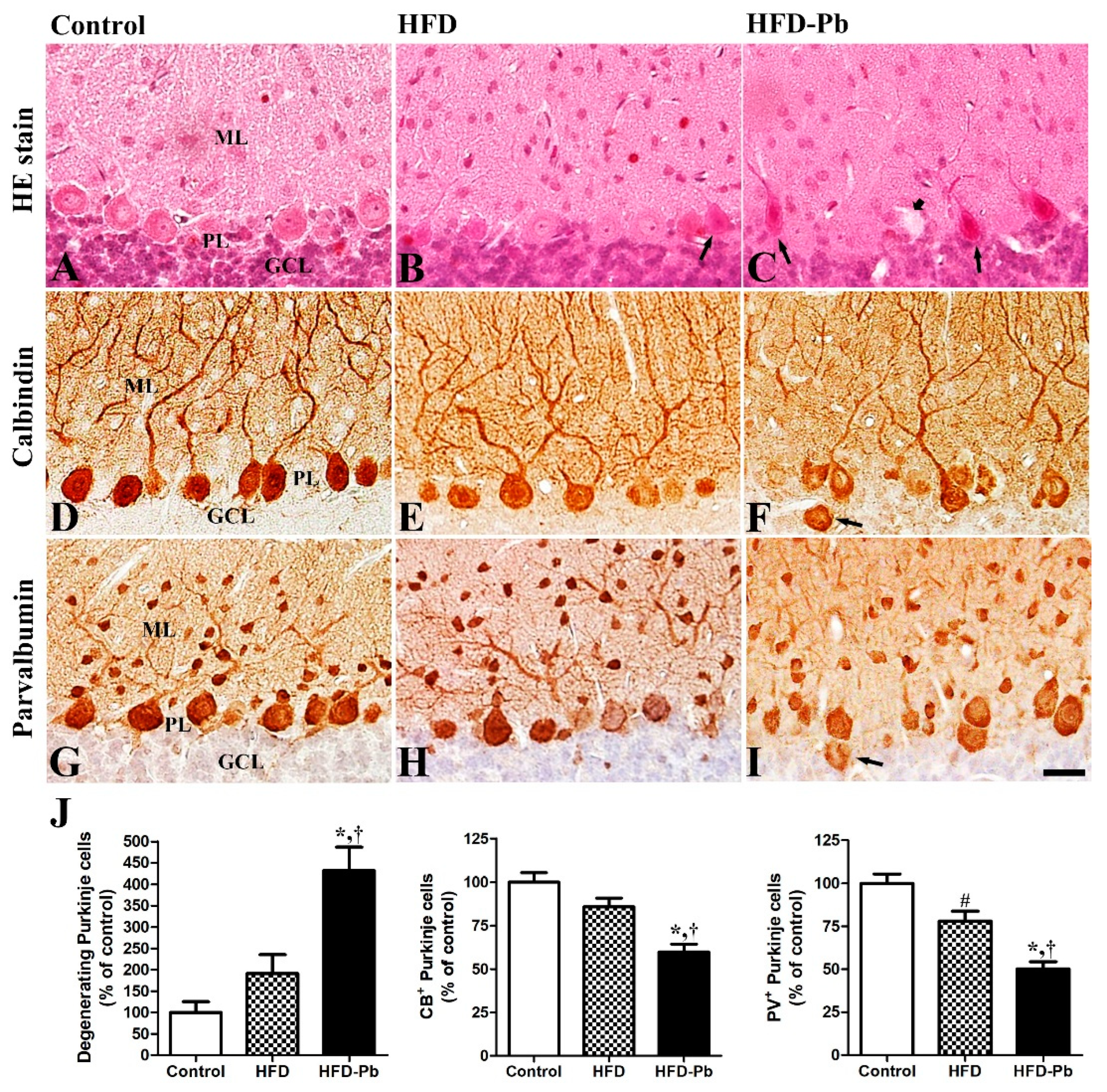 Nutrients 15 04325 g002