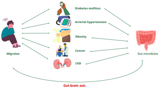 Linking Migraine to Gut Dysbiosis and Chronic Non