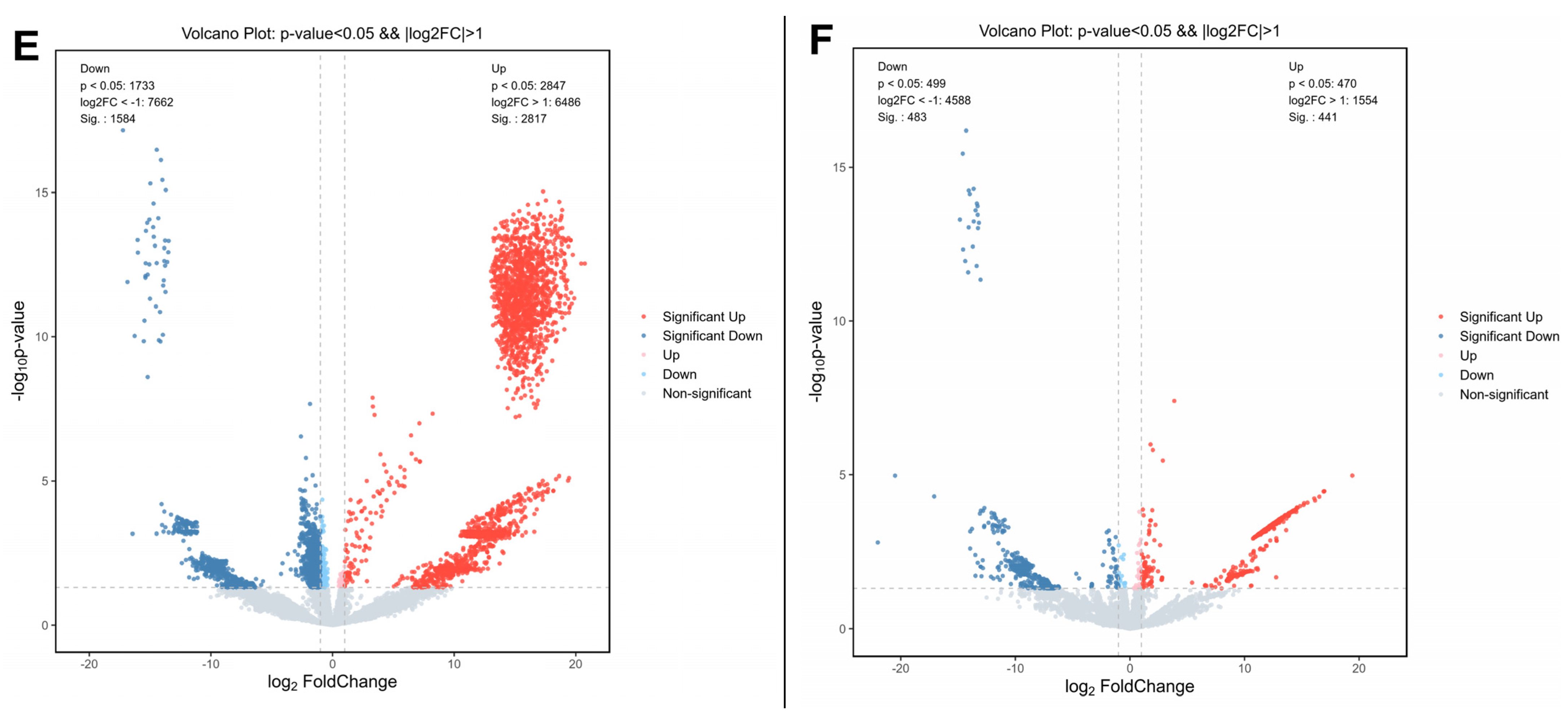 Nutrients 15 04329 g006b