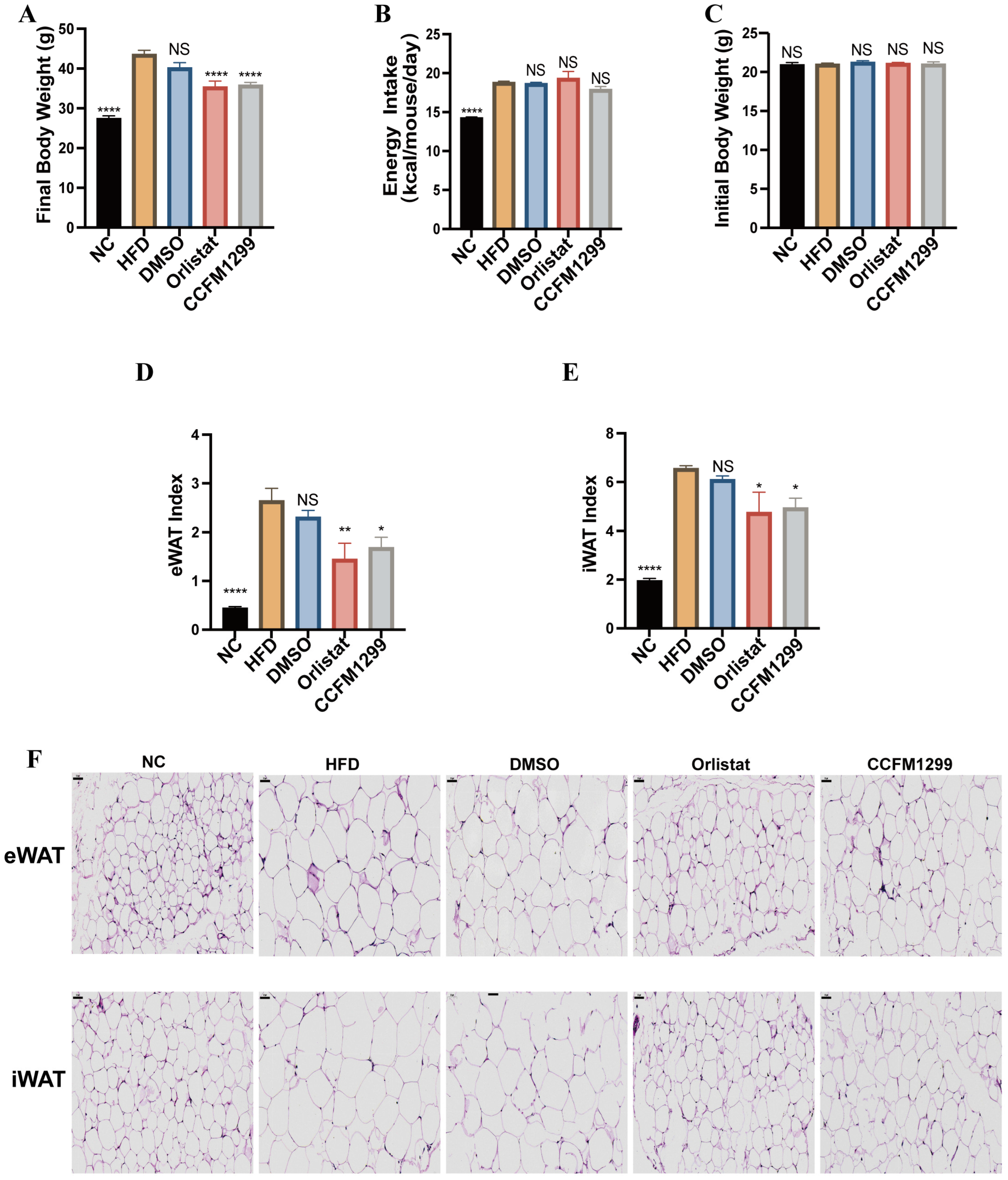 Nutrients 15 04339 g001