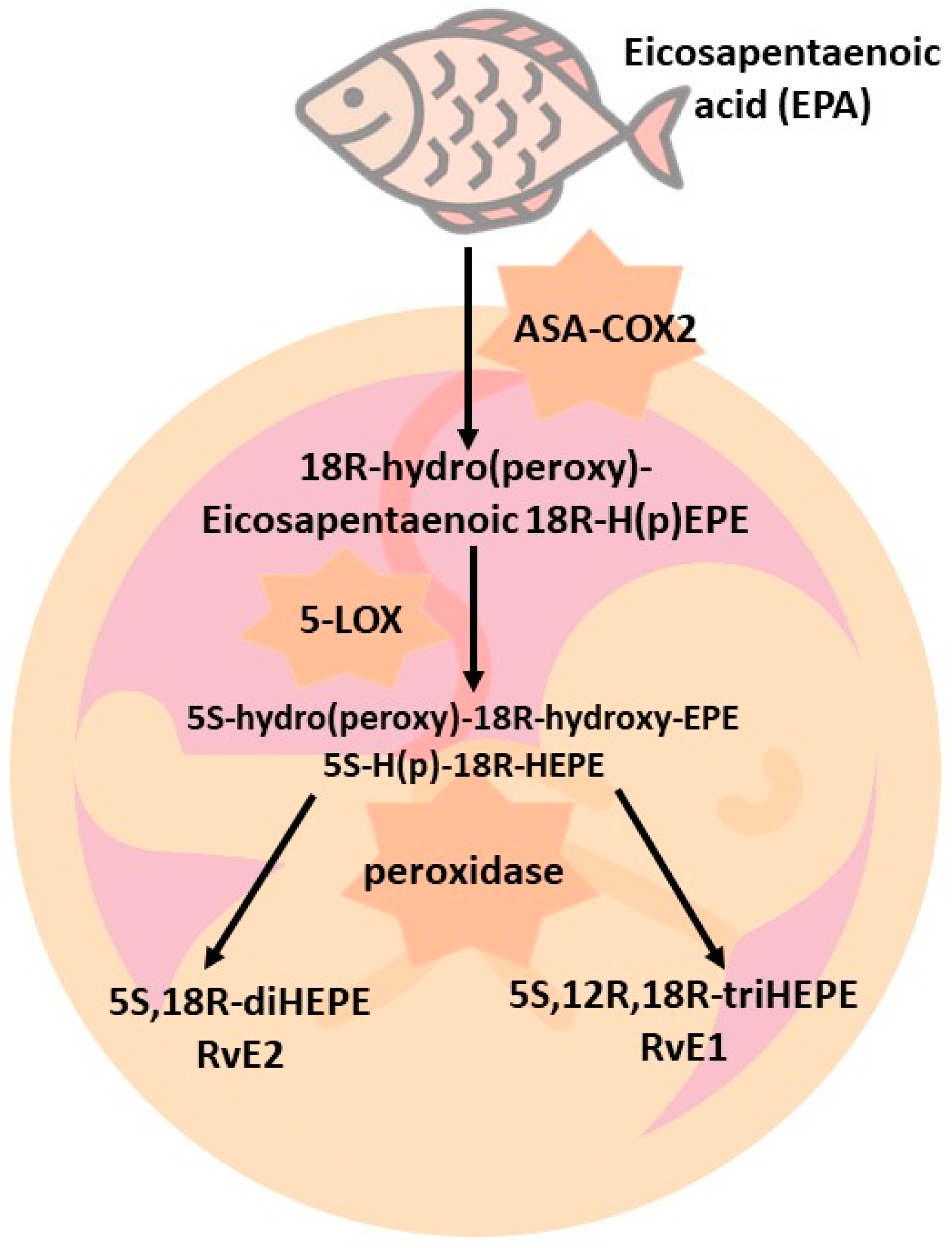 Nutrients 15 04340 g001