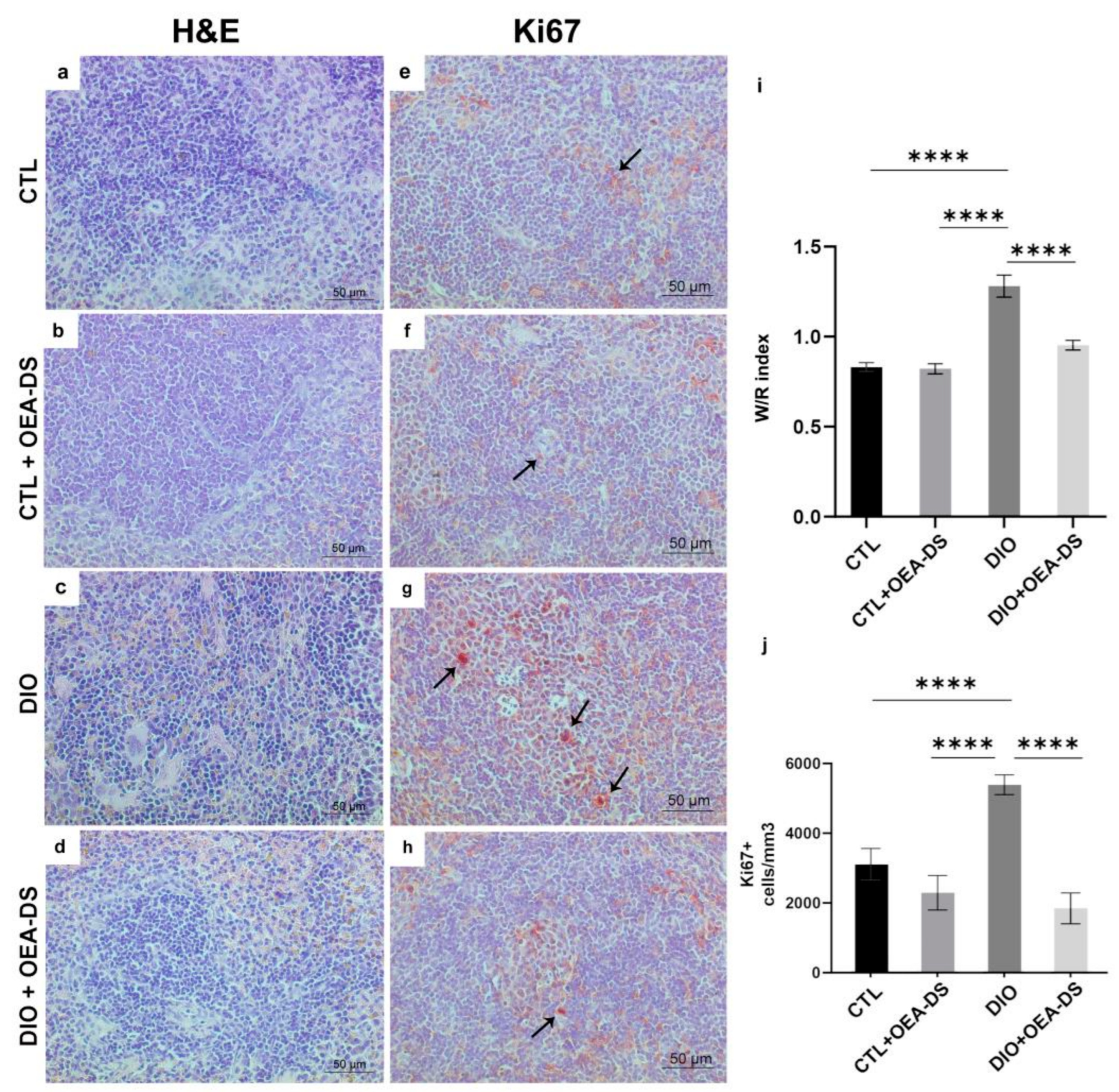Nutrients 15 04345 g003