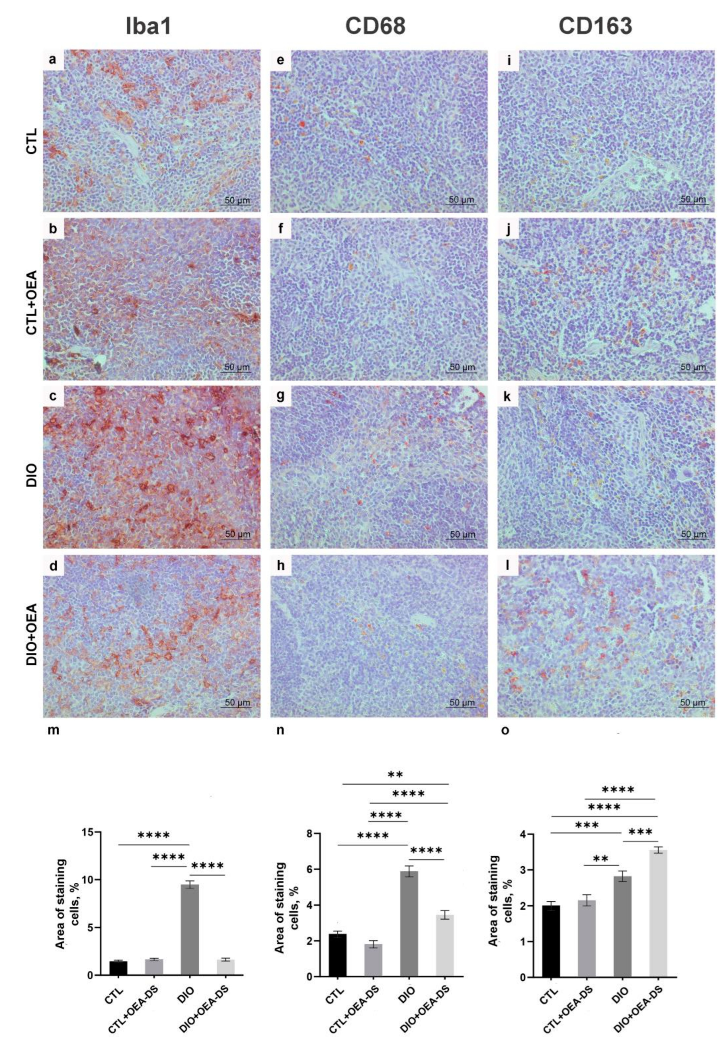 Nutrients 15 04345 g006