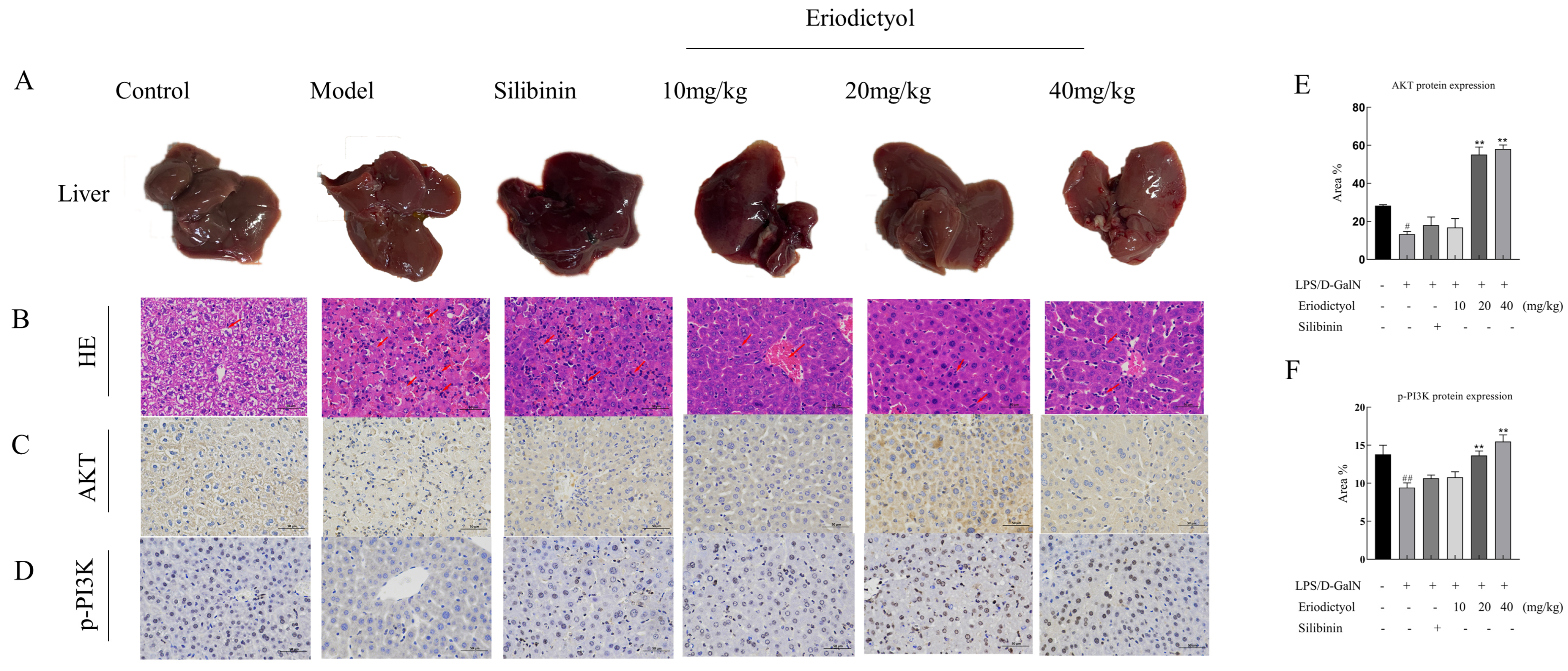 Nutrients 15 04349 g004