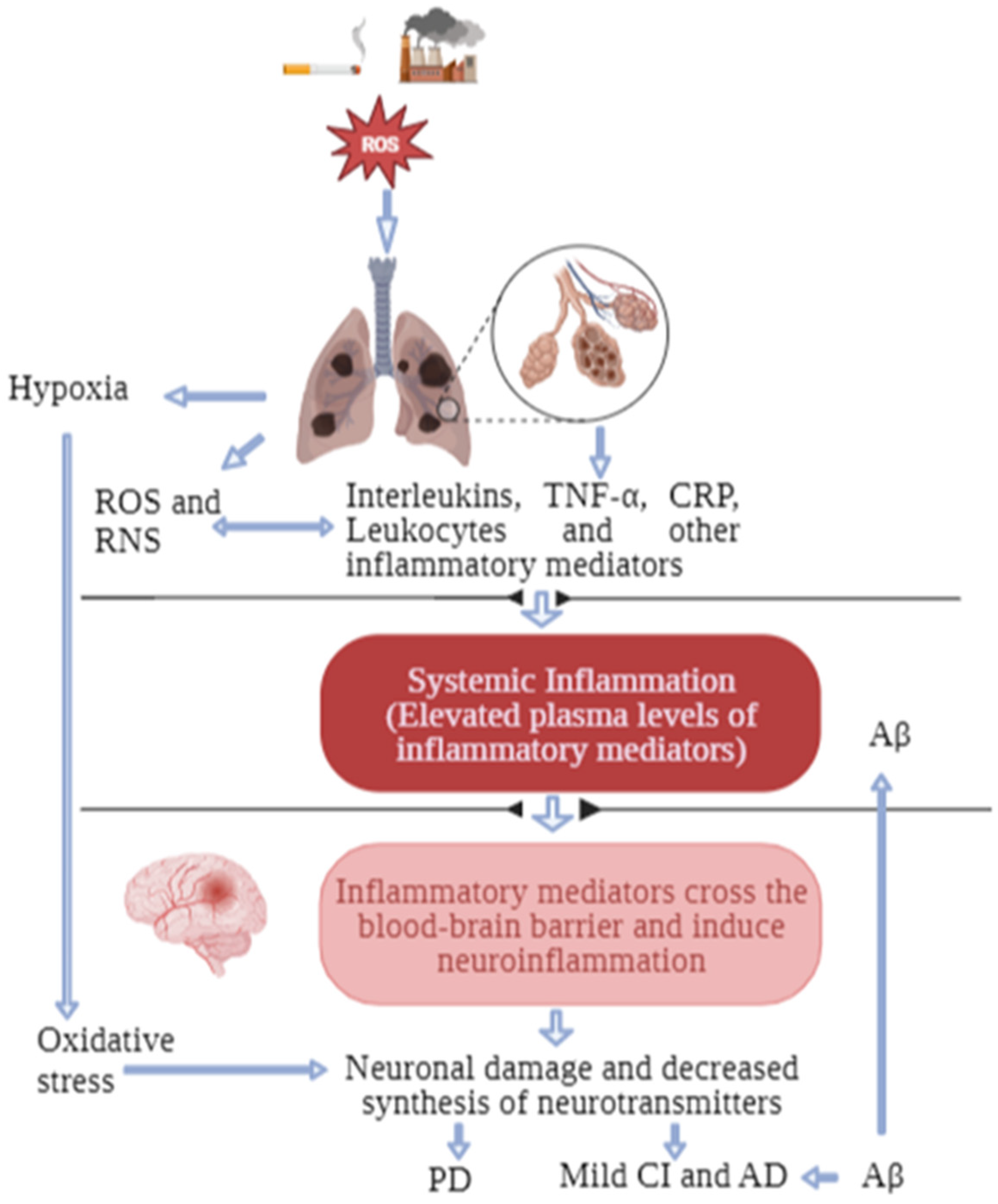 Roles of Omega-3 Polyunsaturated Fatty Acids in Managing Cognitive 