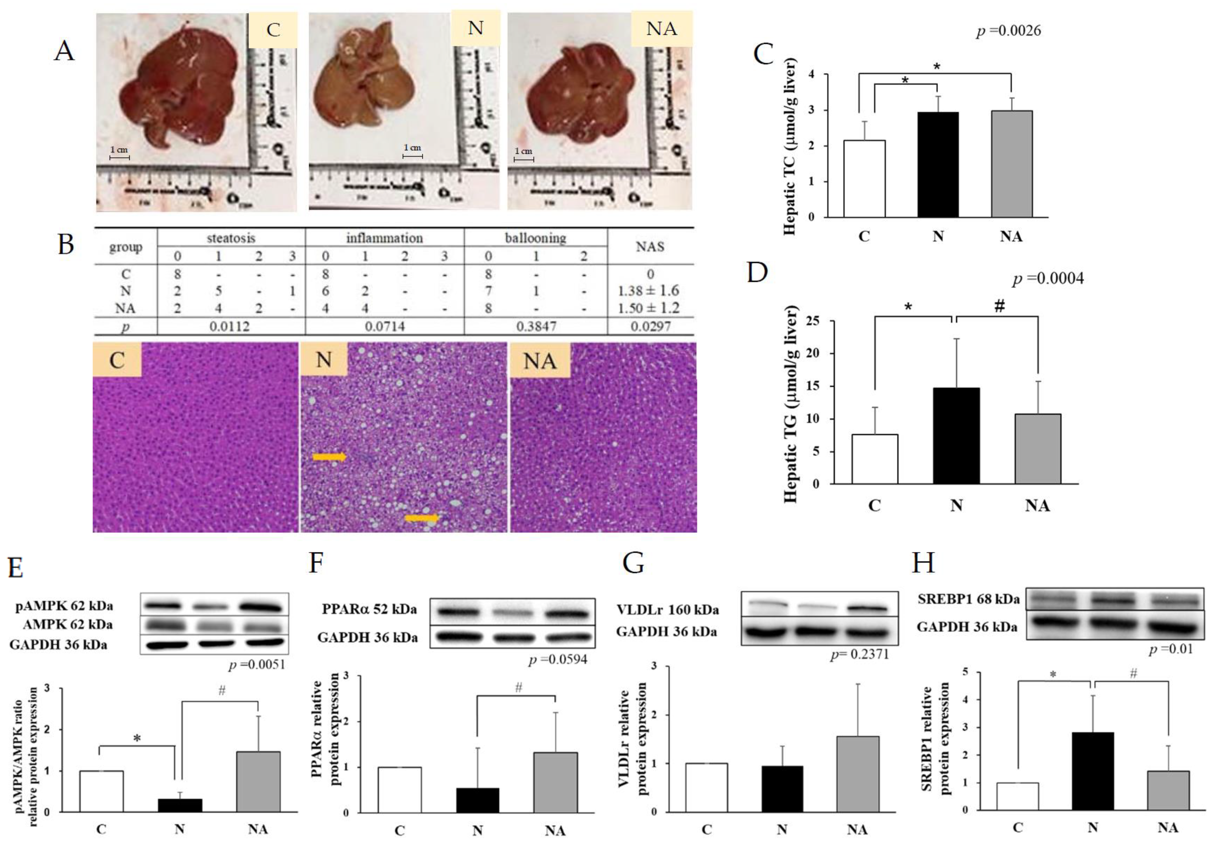 Nutrients 15 04375 g001