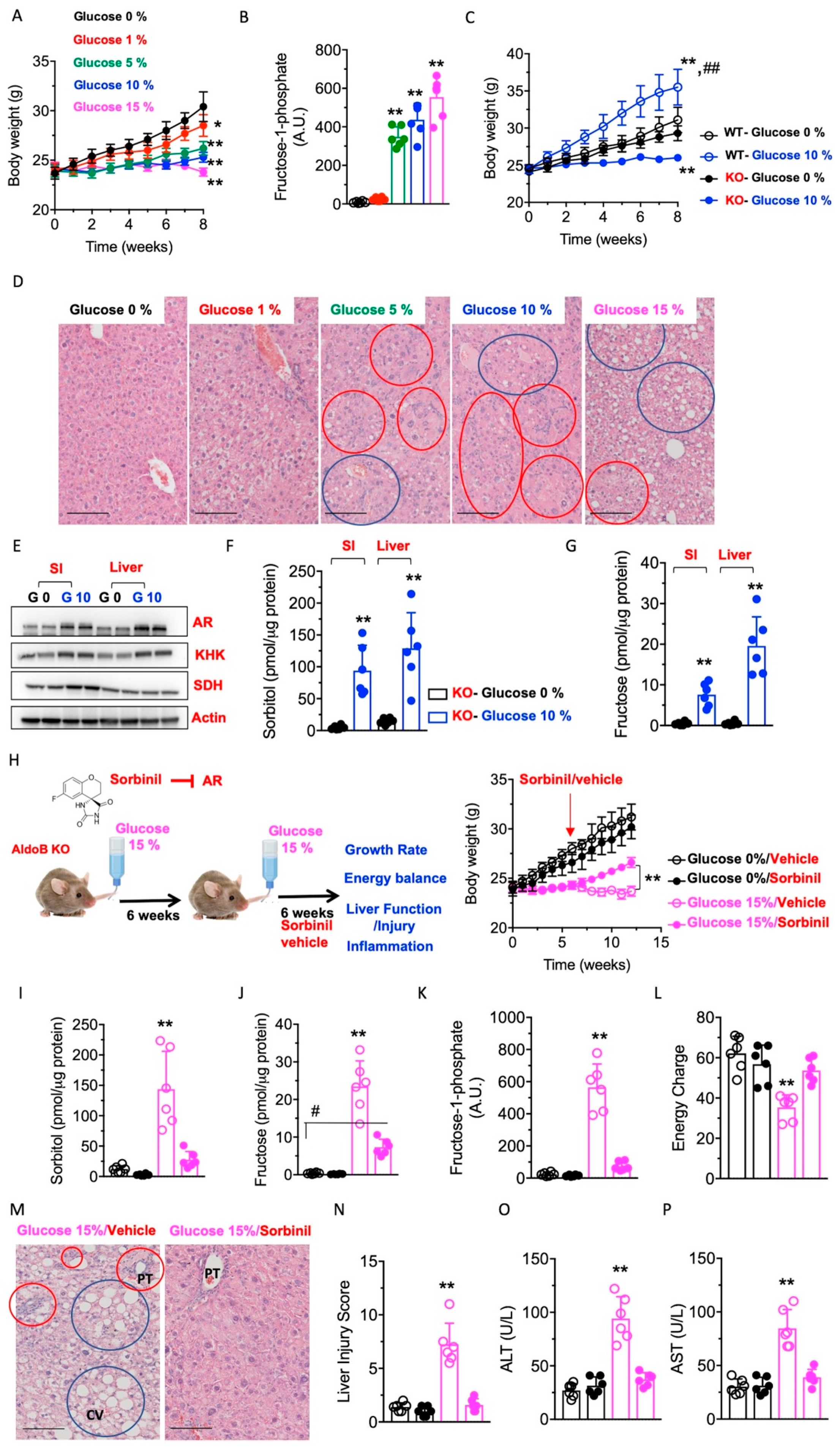 Nutrients 15 04376 g002 Nutrients 15 04376 g002