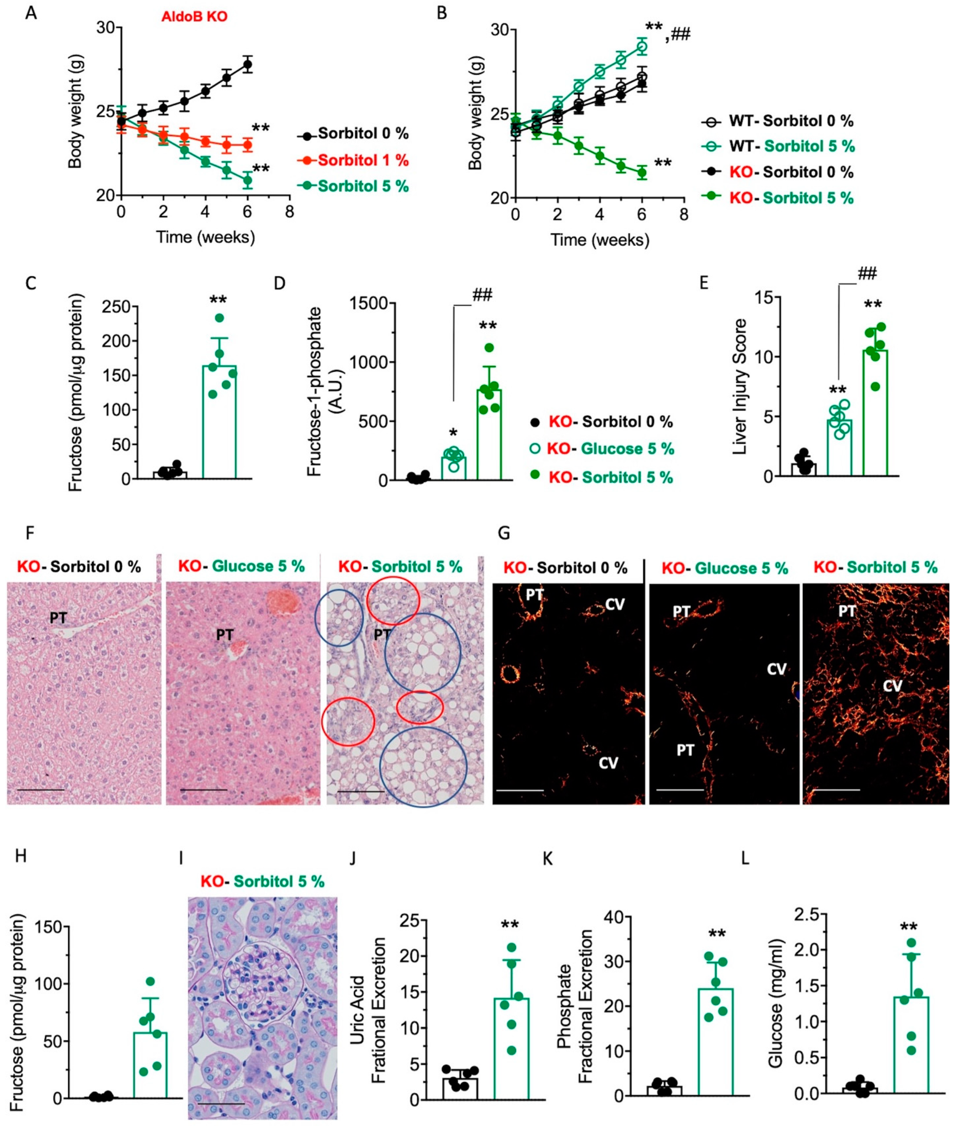 Nutrients 15 04376 g003 Nutrients 15 04376 g003