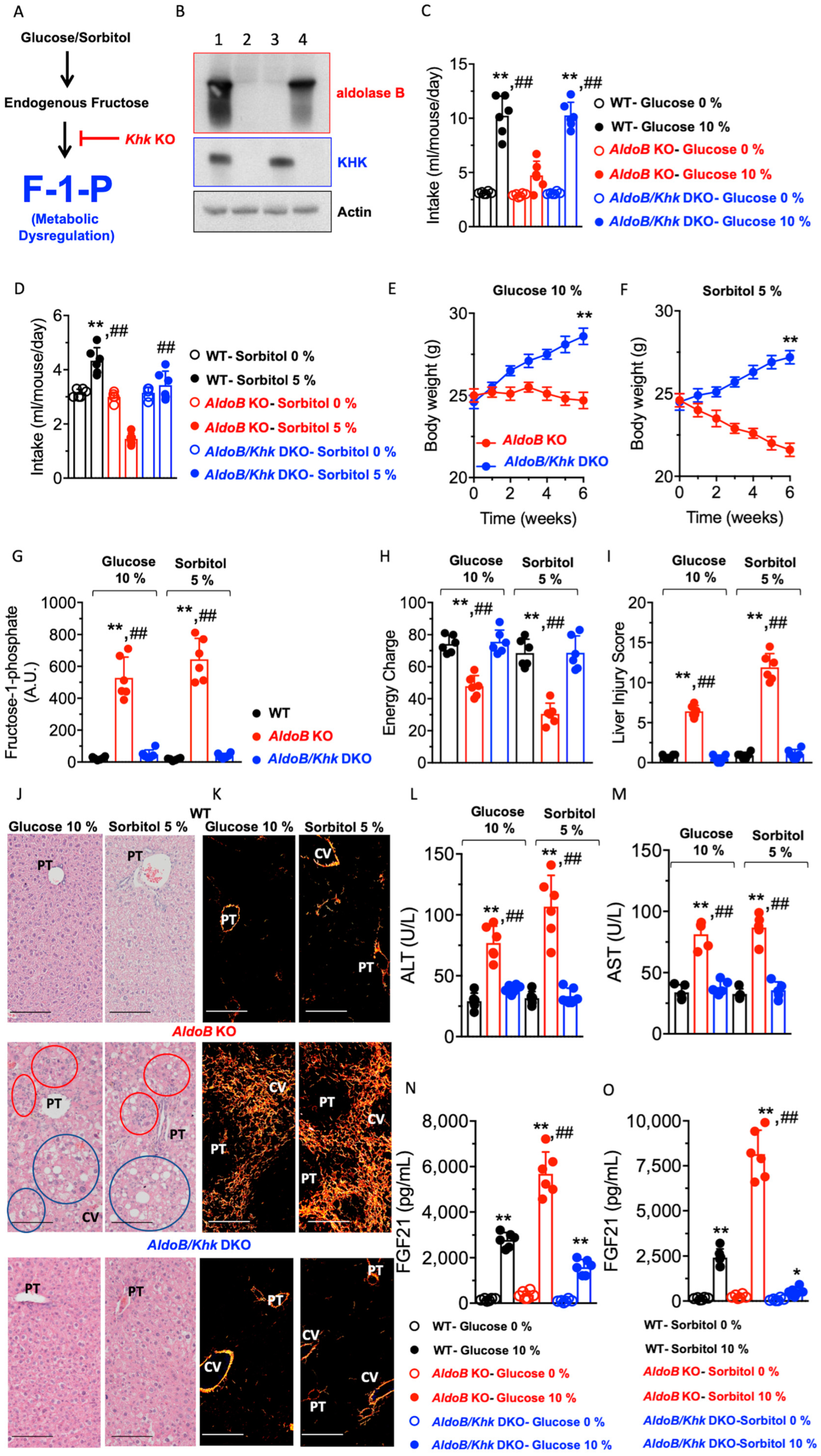 Nutrients 15 04376 g004 Nutrients 15 04376 g004