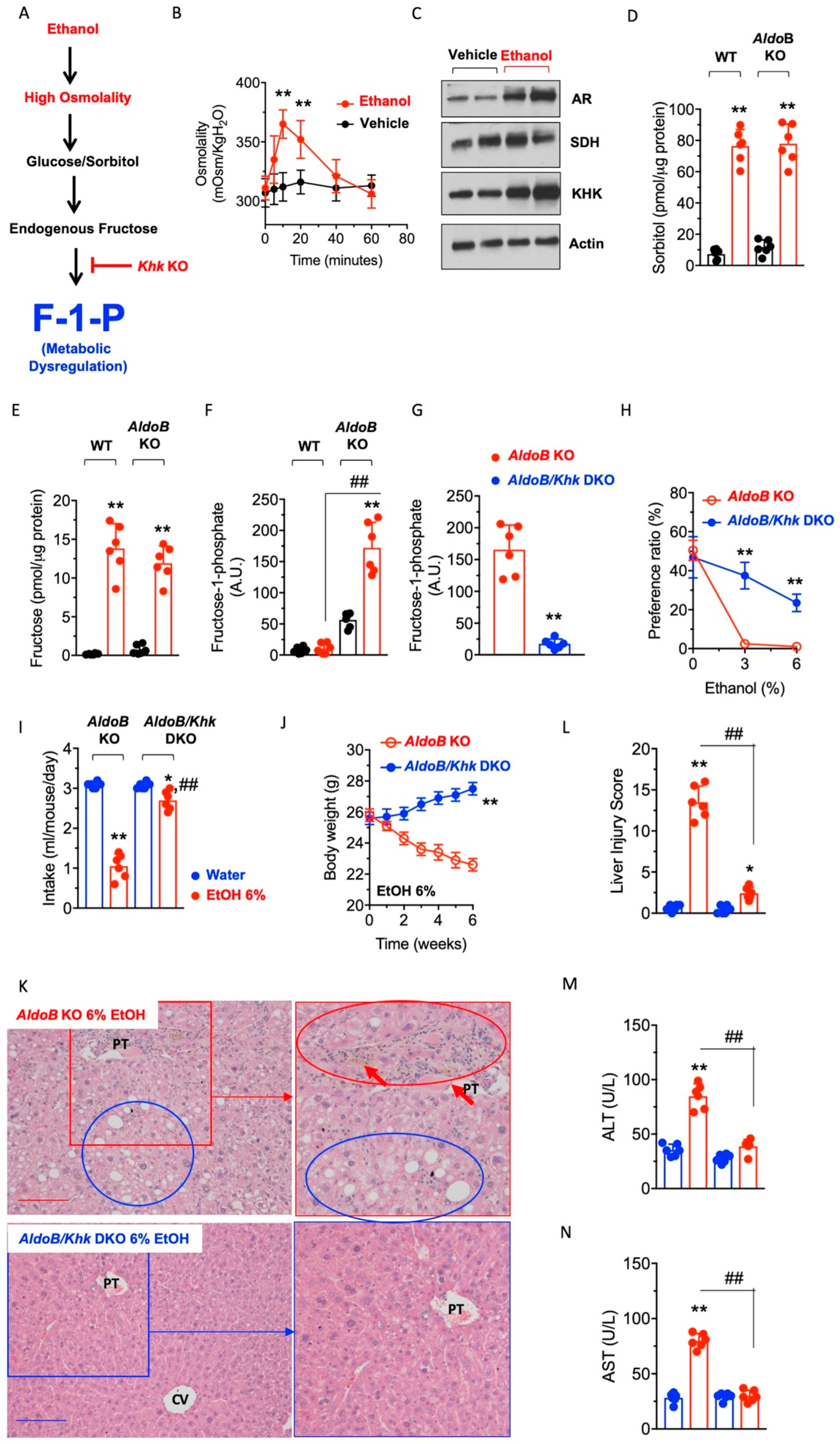 Nutrients 15 04376 g005 Nutrients 15 04376 g005