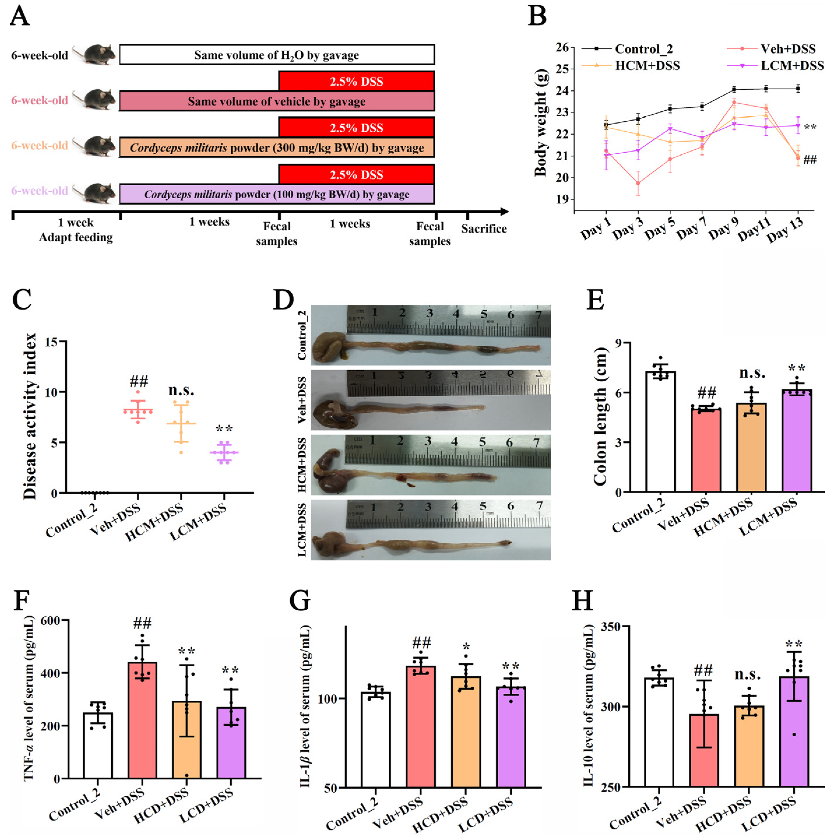 Nutrients 15 04378 g001