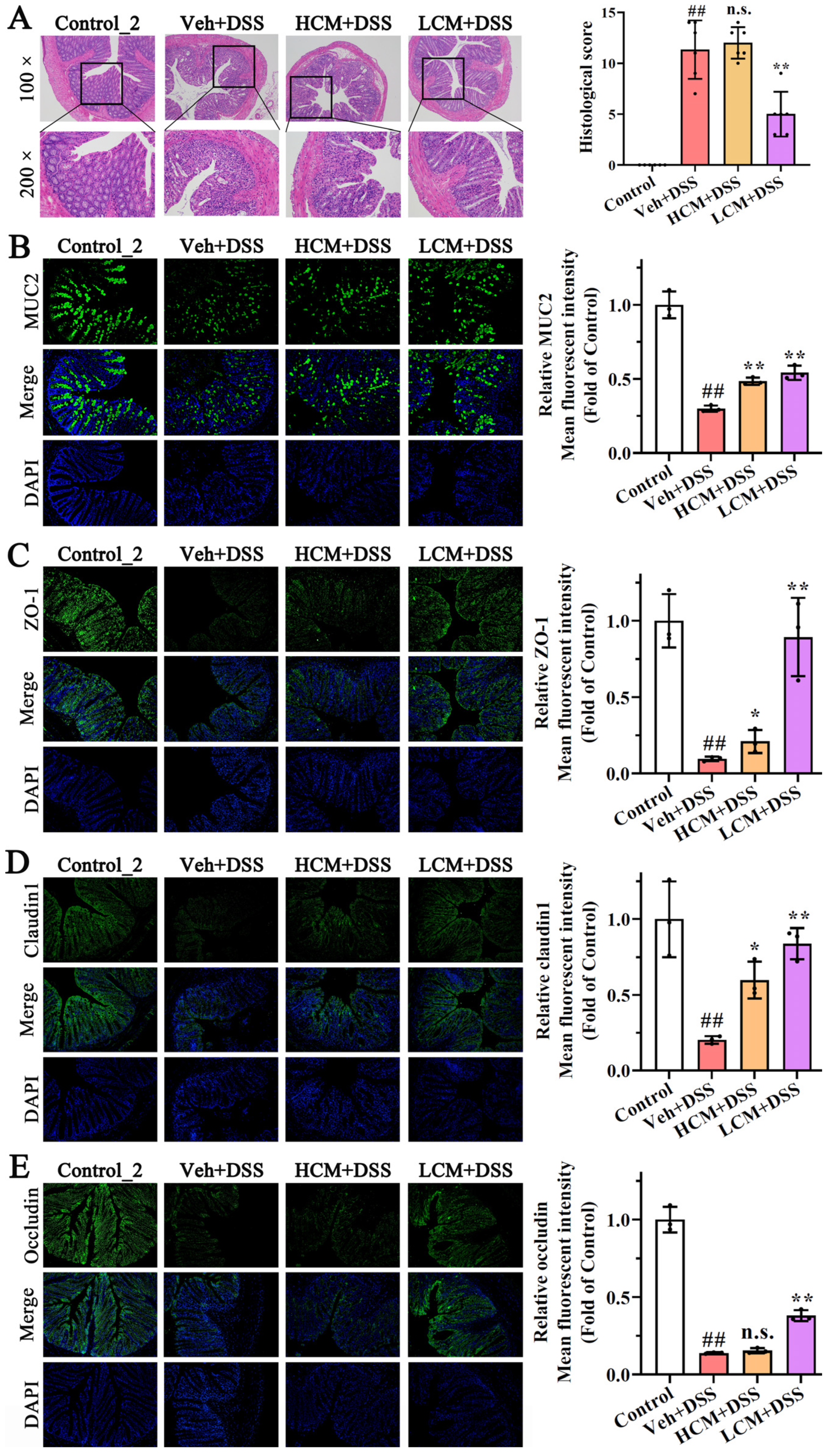 Nutrients 15 04378 g002