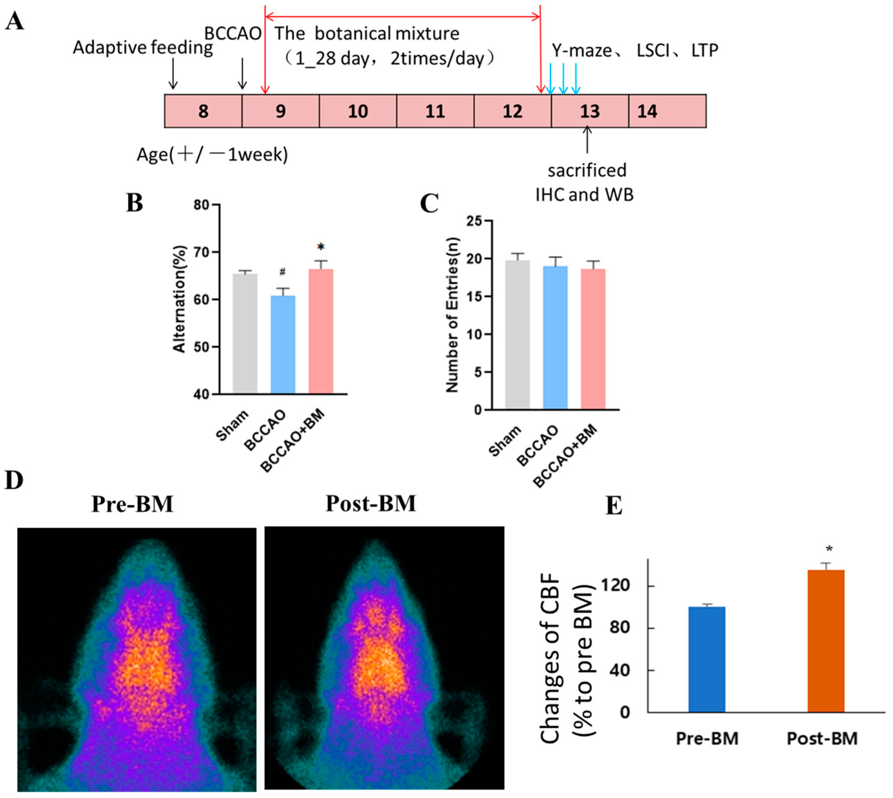 Nutrients 15 04381 g001 Nutrients 15 04381 g001