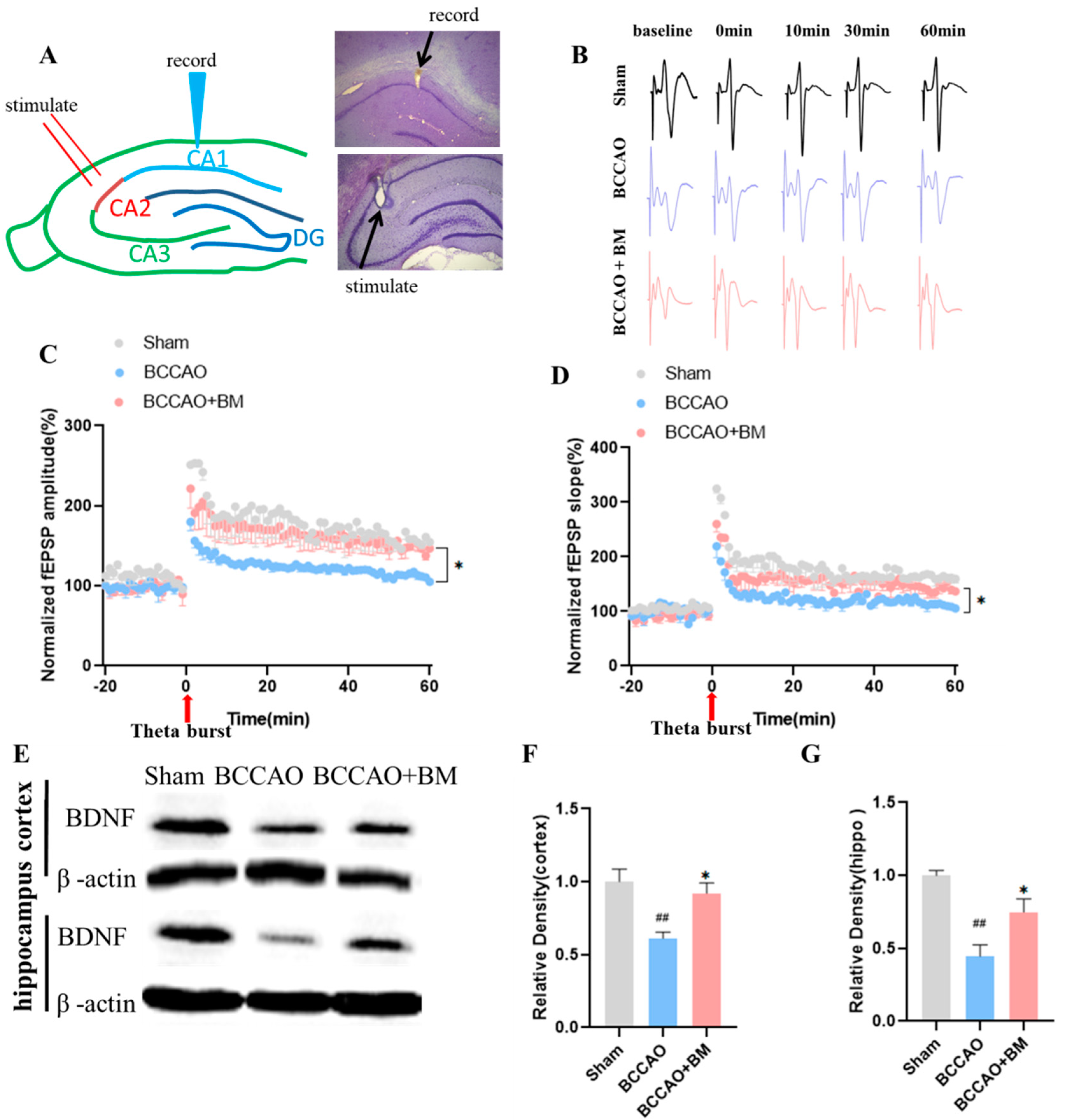 Nutrients 15 04381 g002 Nutrients 15 04381 g002