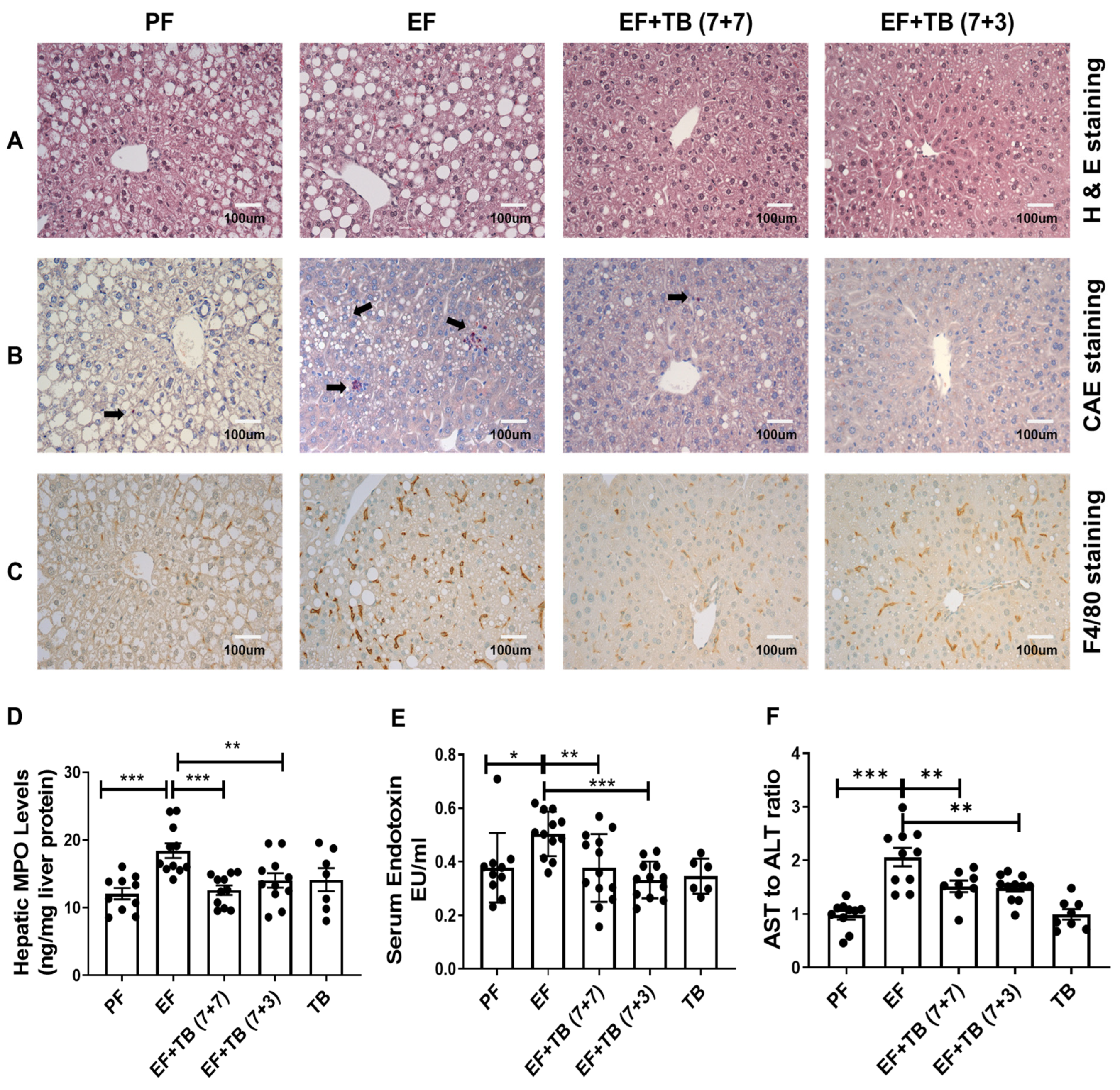 Nutrients 15 04397 g001