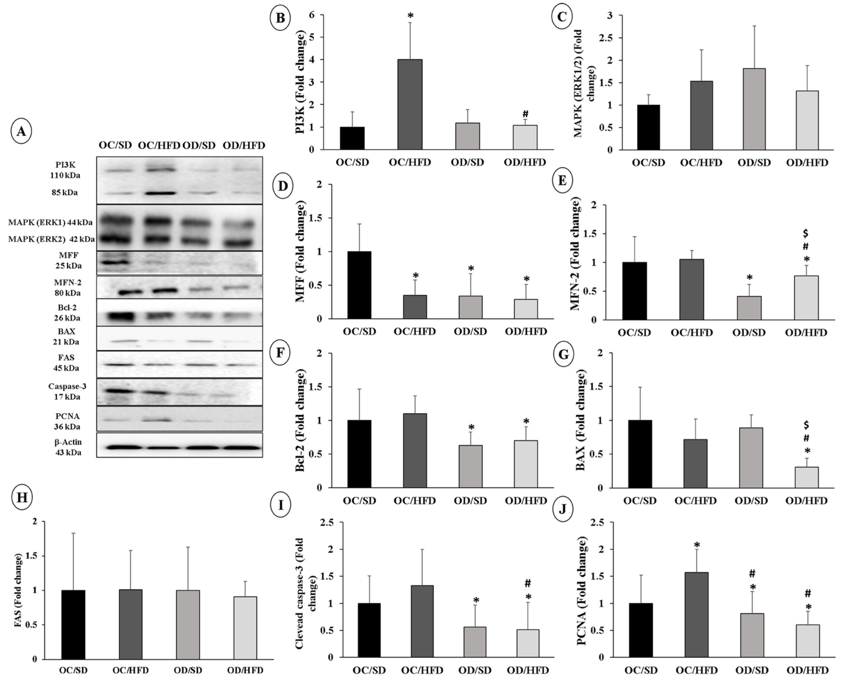 Nutrients 15 04407 g003 Nutrients 15 04407 g003