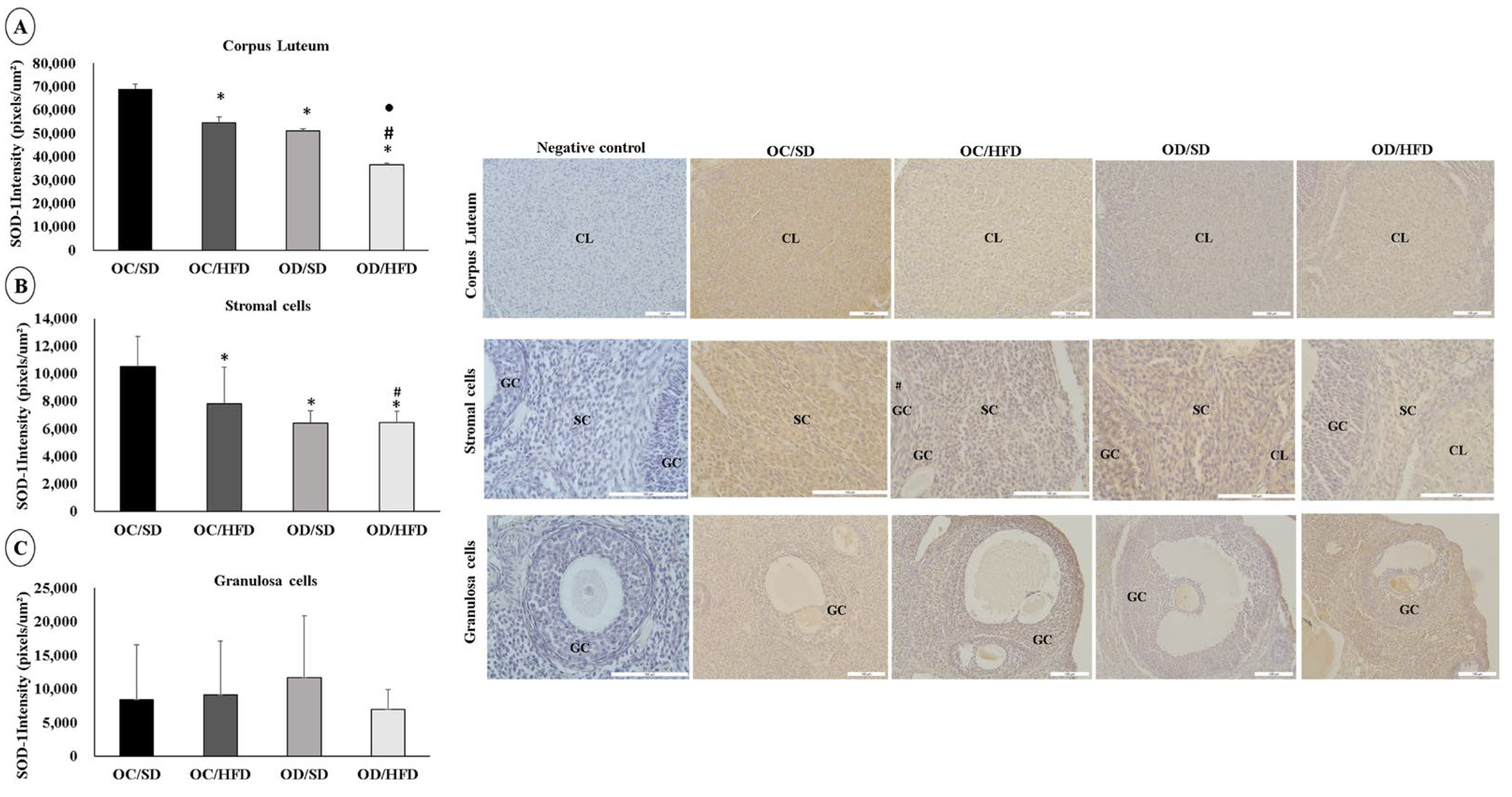 Nutrients 15 04407 g004 Nutrients 15 04407 g004