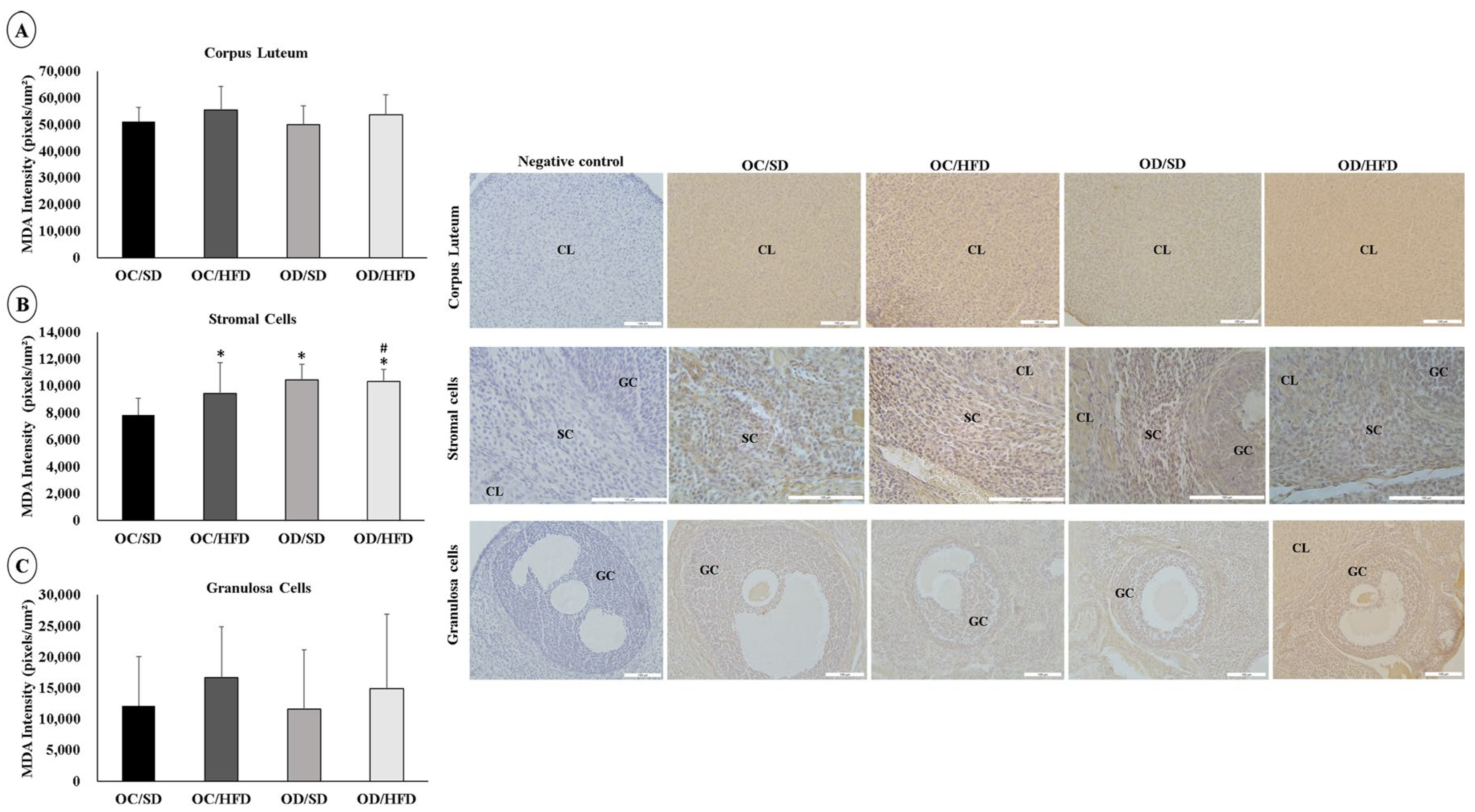 Nutrients 15 04407 g006 Nutrients 15 04407 g006