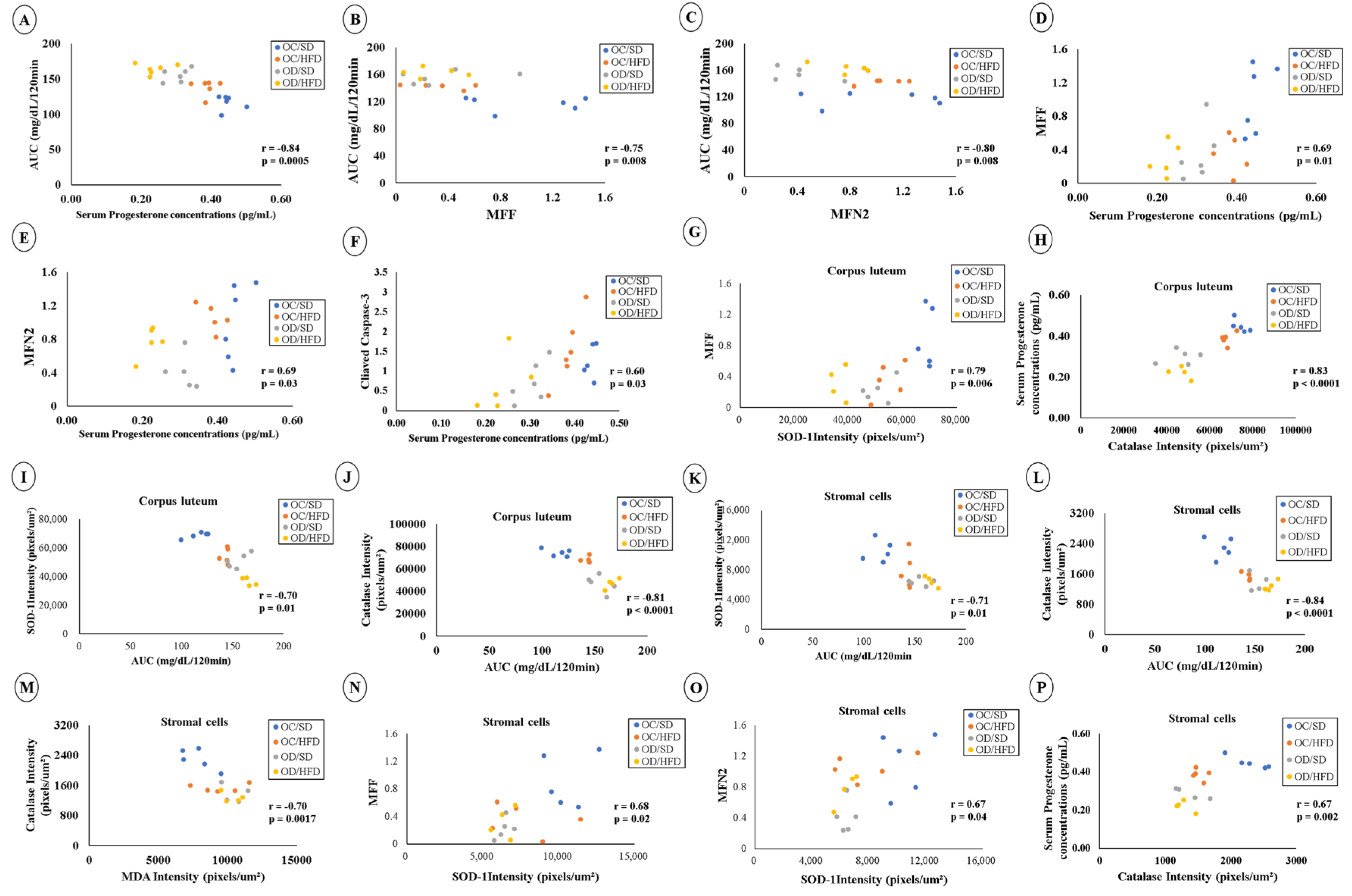 Nutrients 15 04407 g007 Nutrients 15 04407 g007