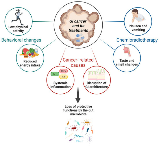 Synergistic Strategies for Gastrointestinal Cancer Care: Unveiling