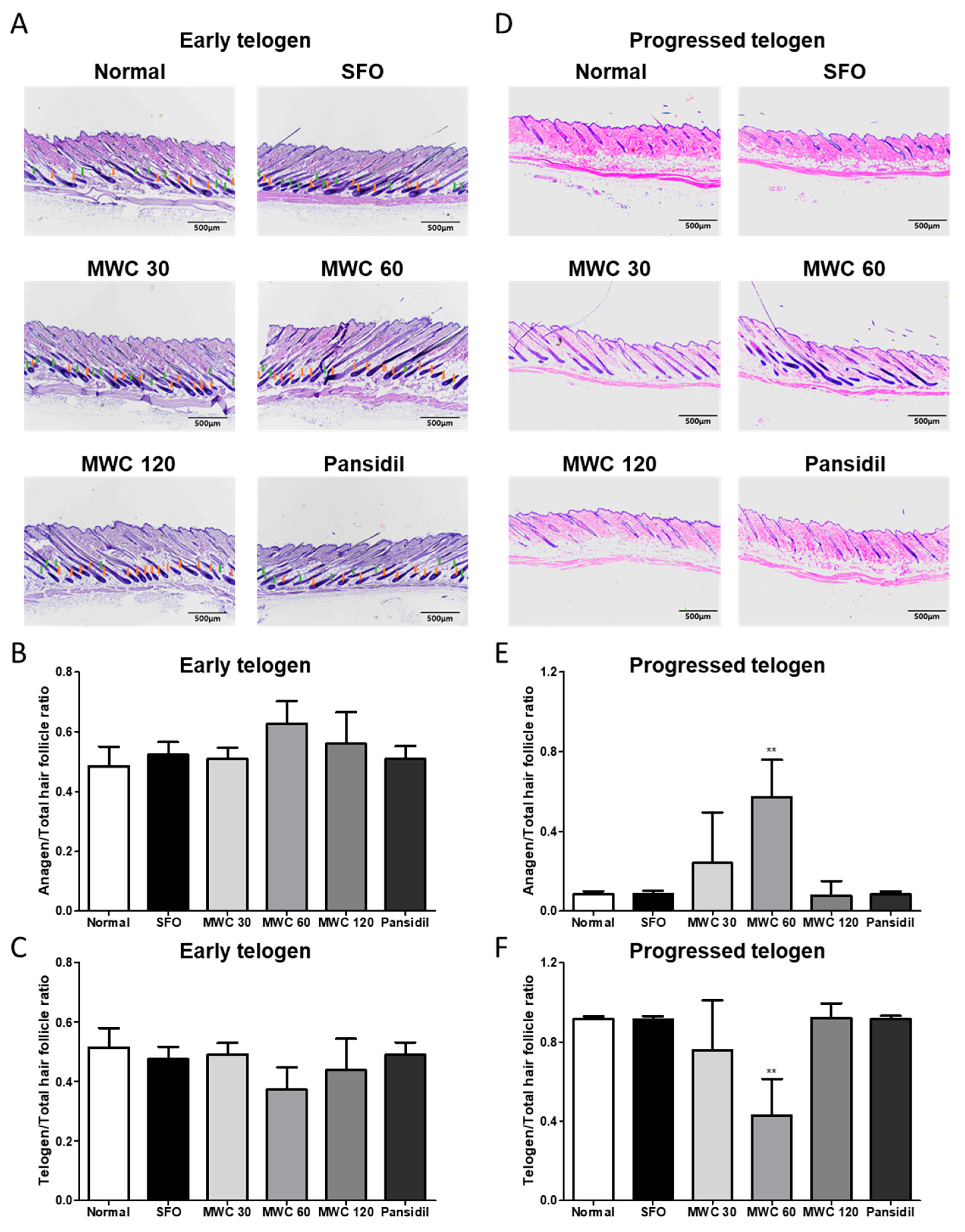 Nutrients 15 04411 g006 Nutrients 15 04411 g006