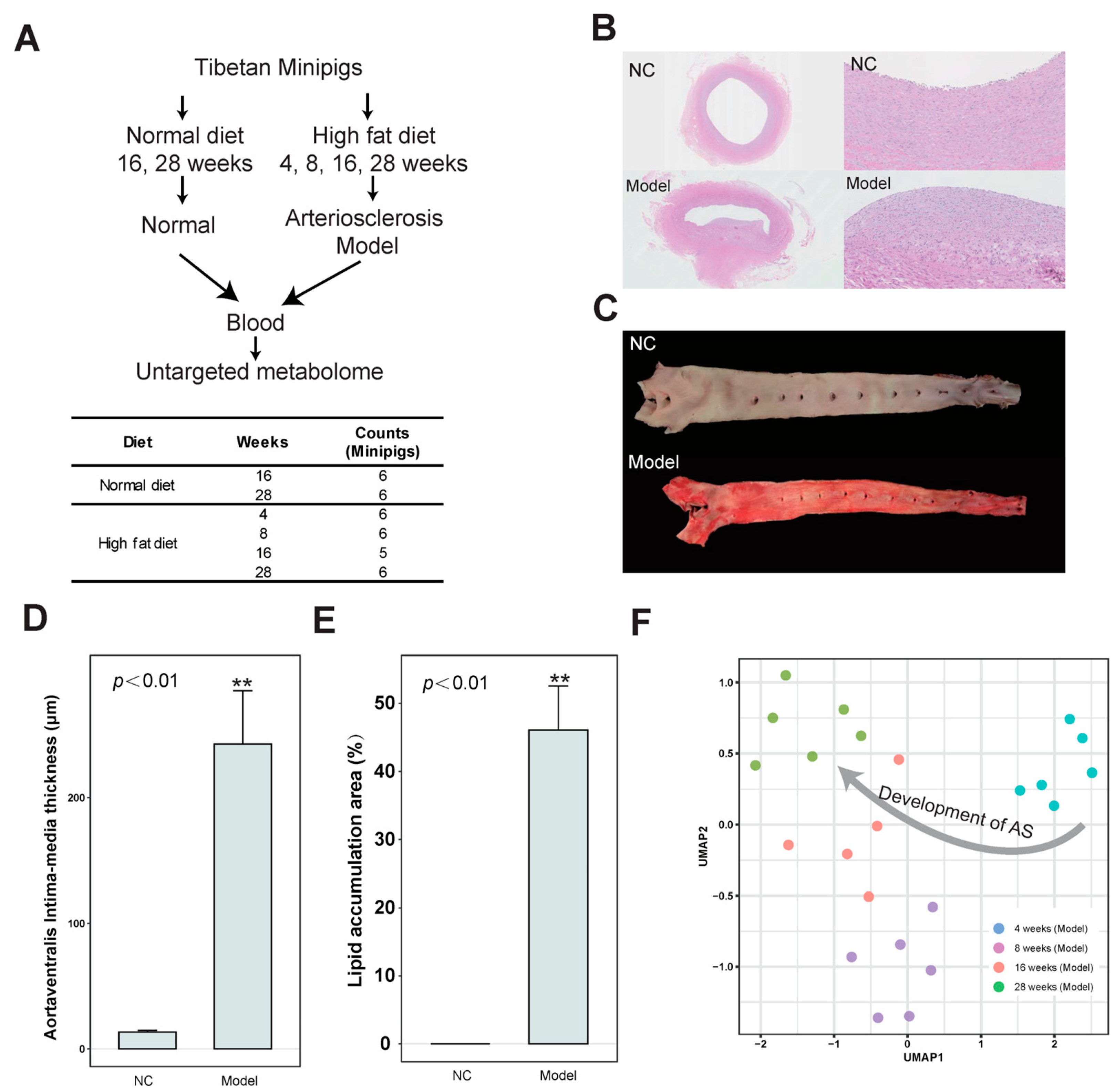 Nutrients 15 04425 g001