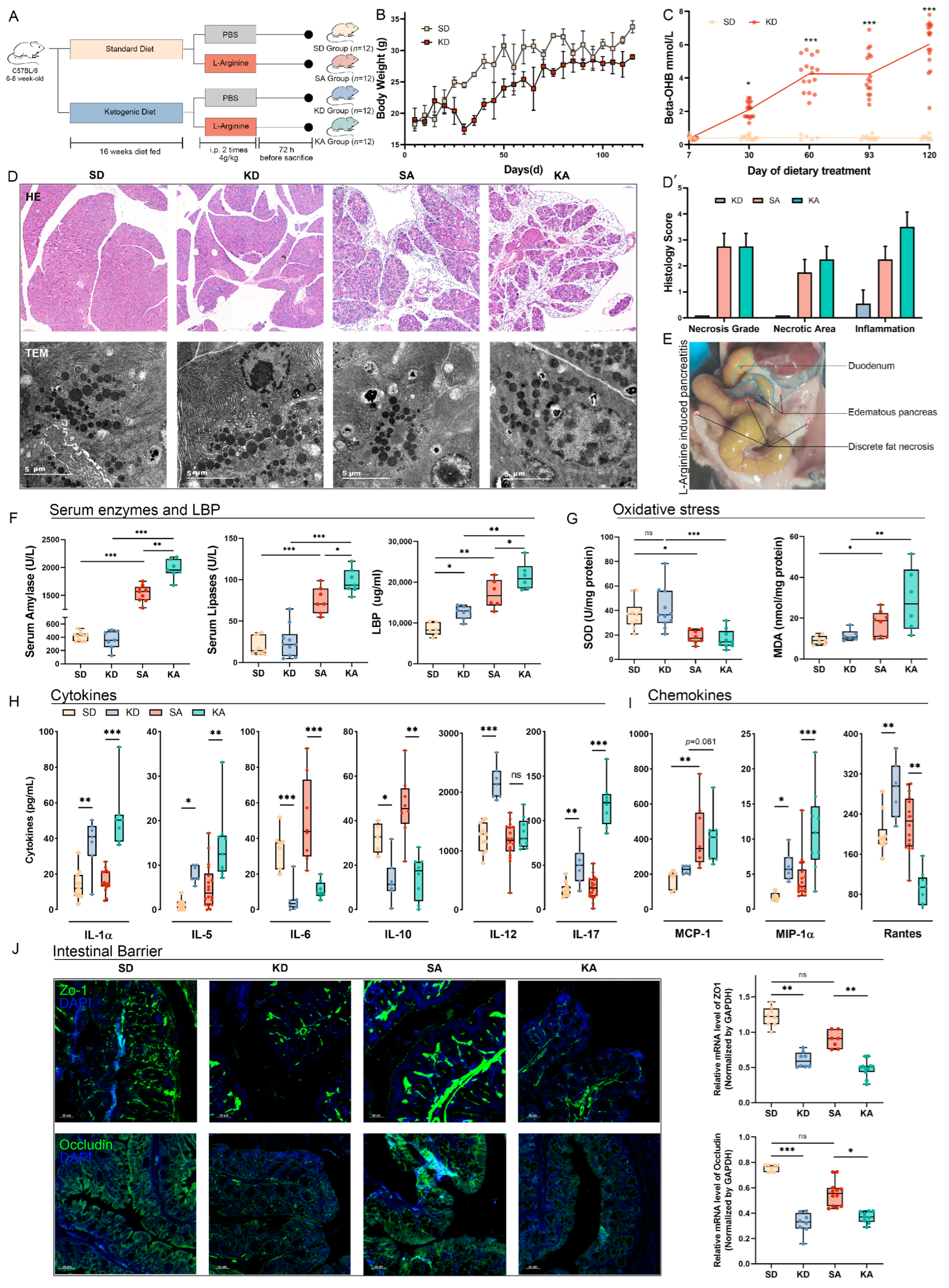 Nutrients 15 04427 g001